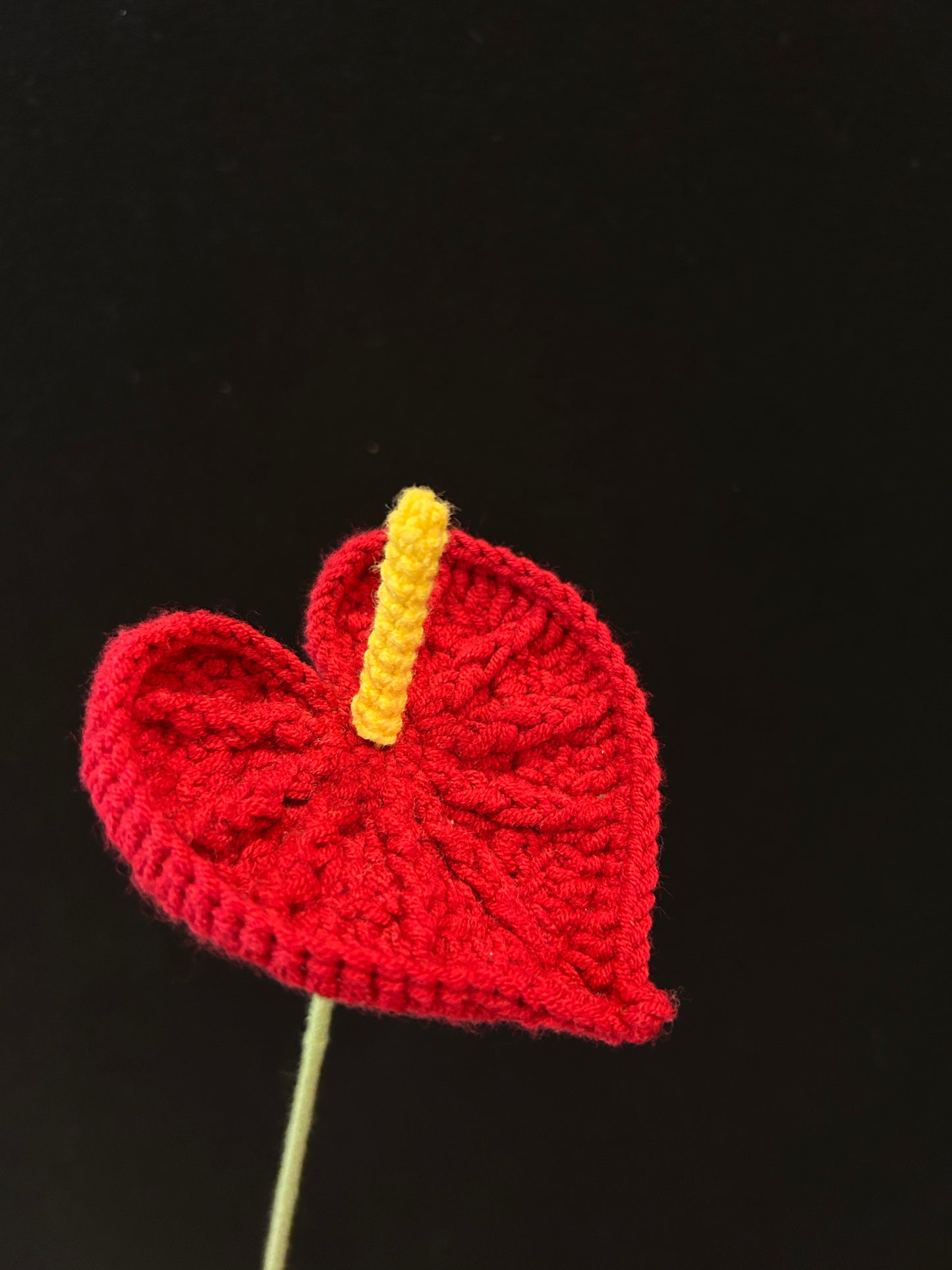 Anthurium