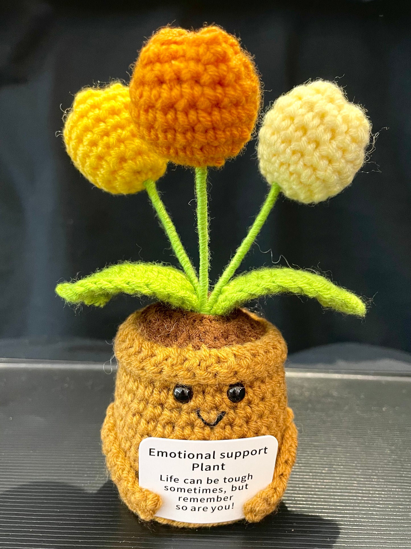 Emotional Support Plant (Tulip)