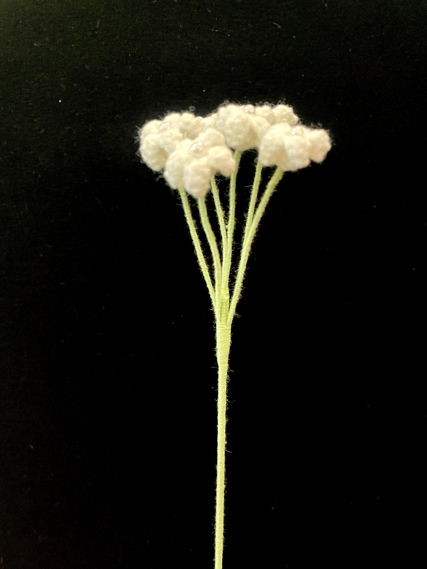 Baby’s Breath