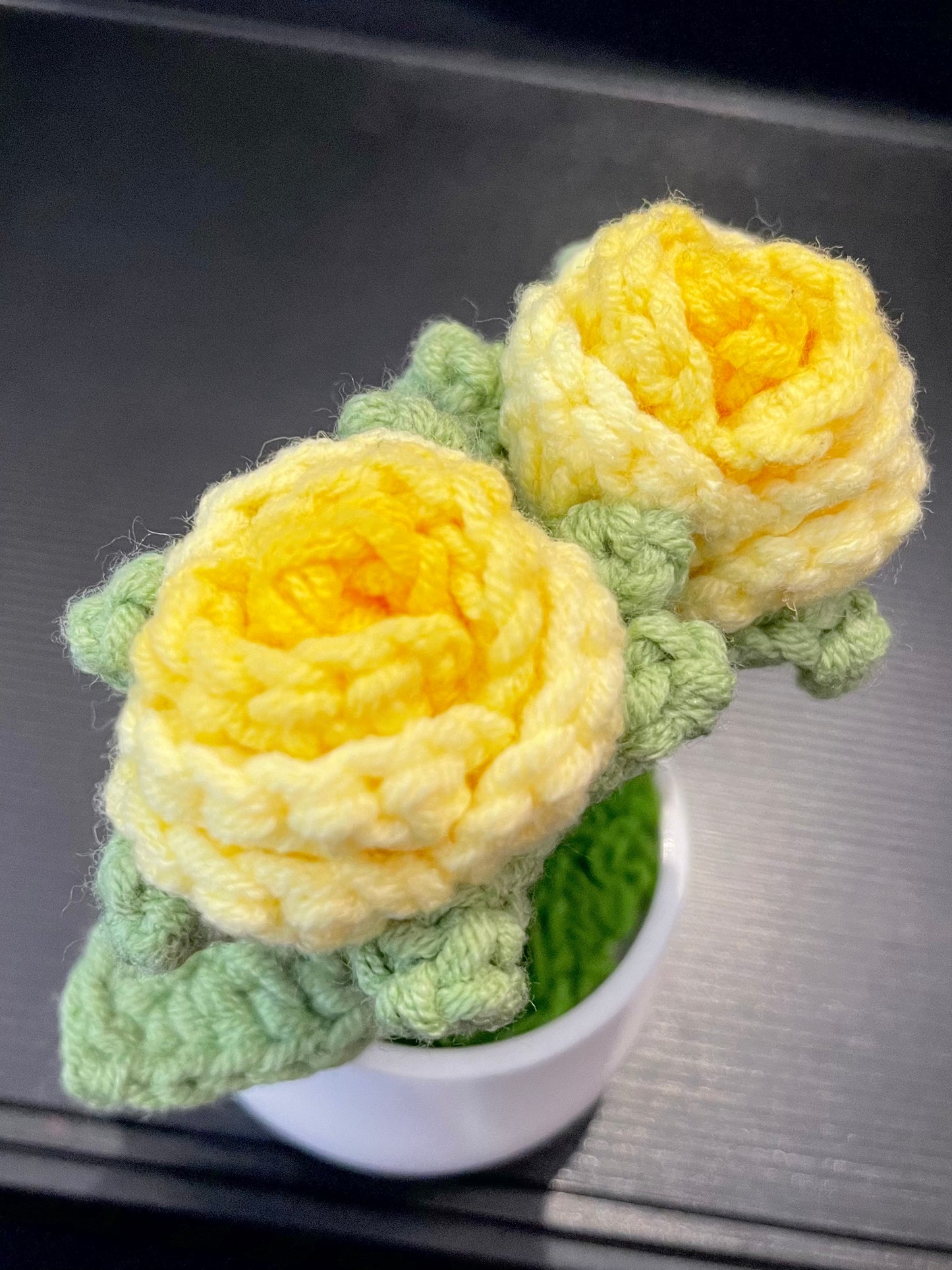 Rose in White Pot