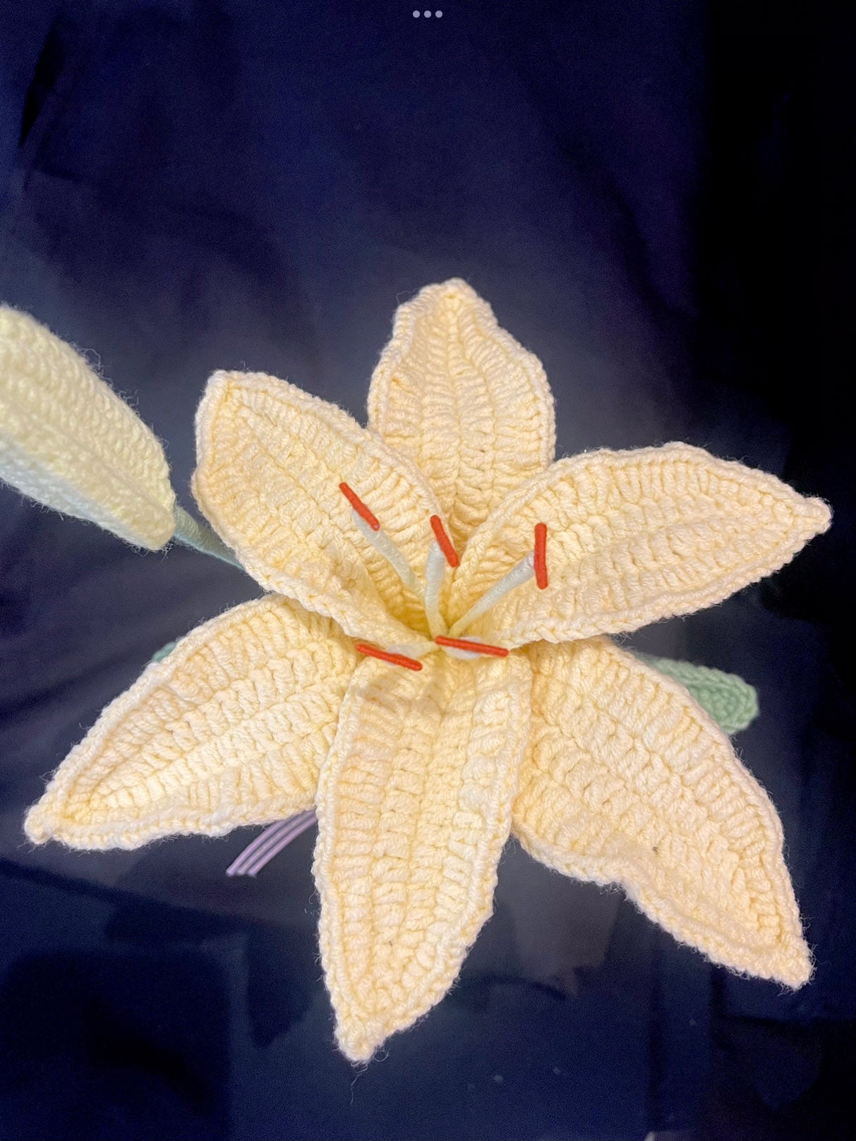 Lily Vase
