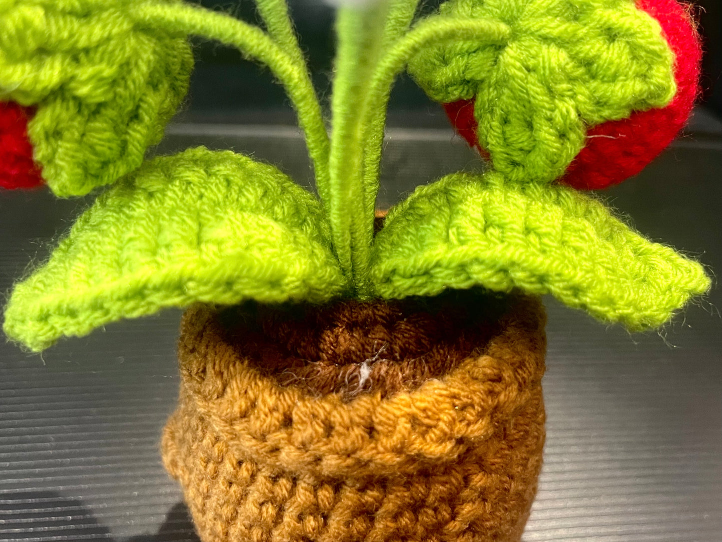 Emotional Support Plant (Strawberry)