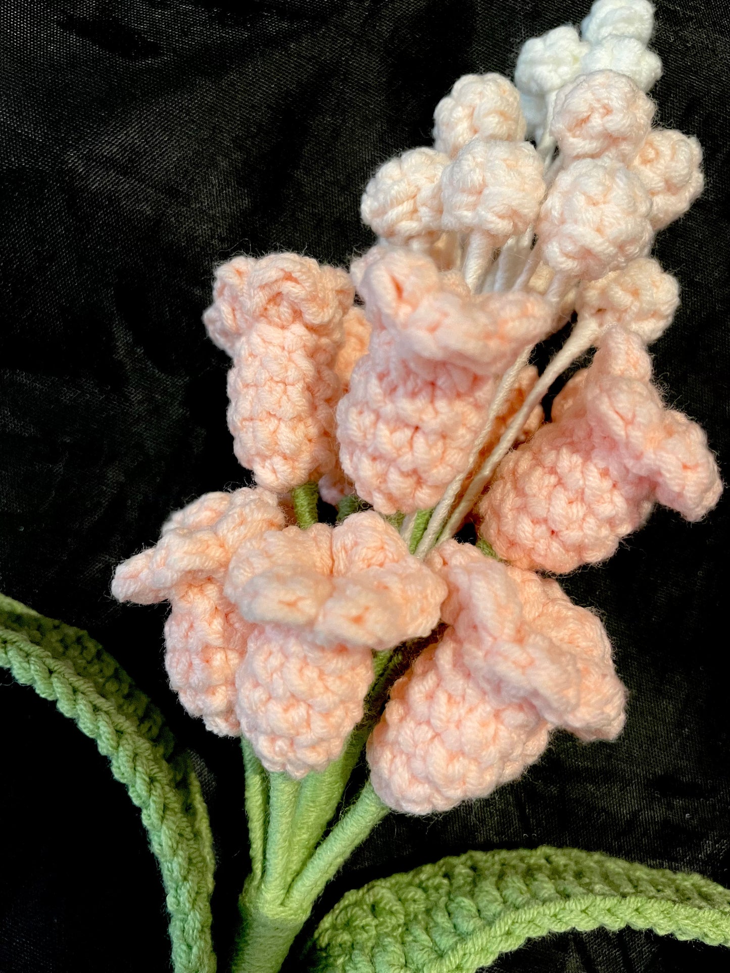 Hyacinth