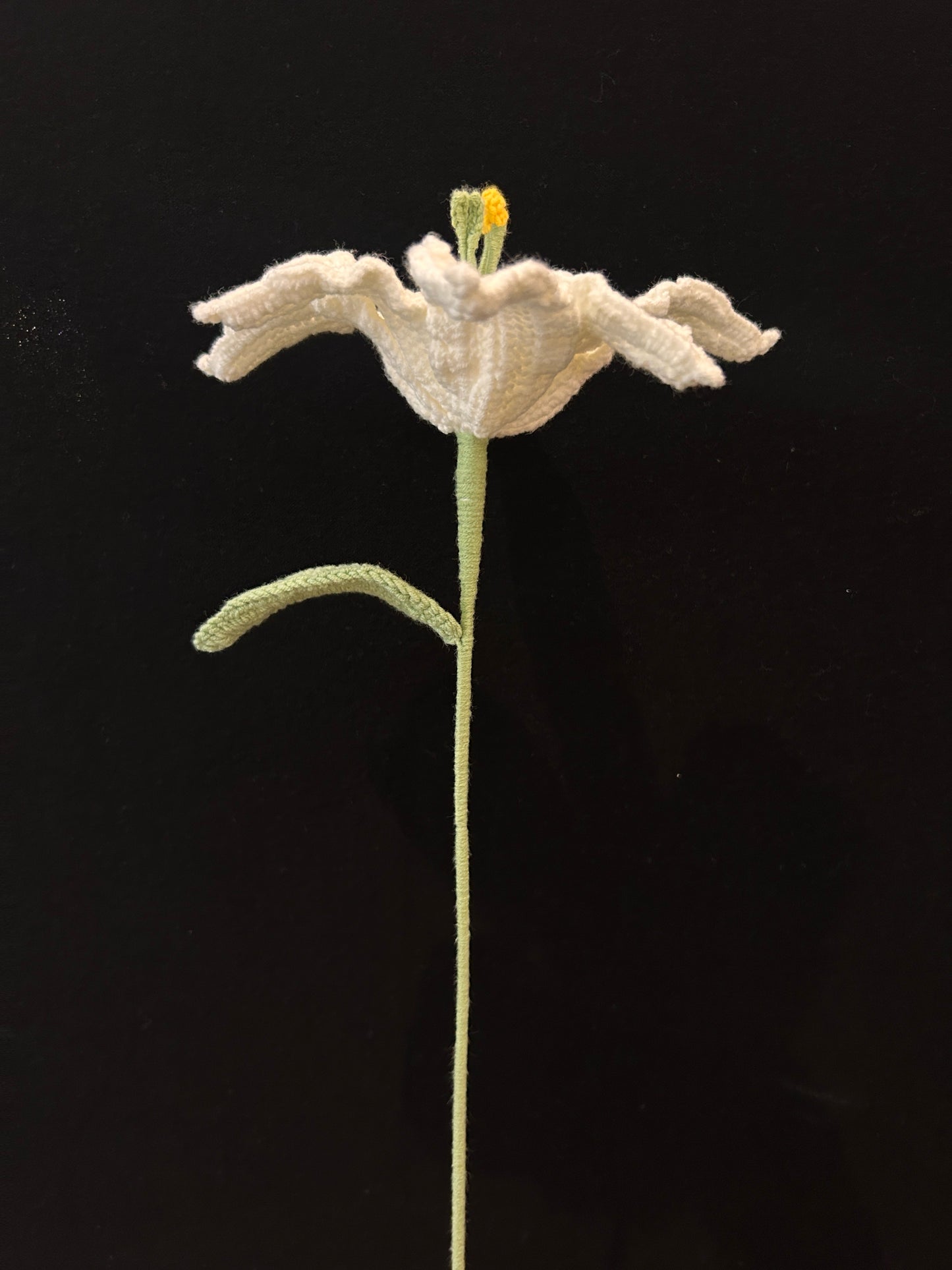 Lily