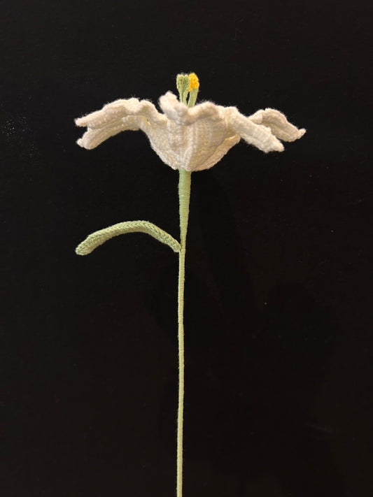 Lily