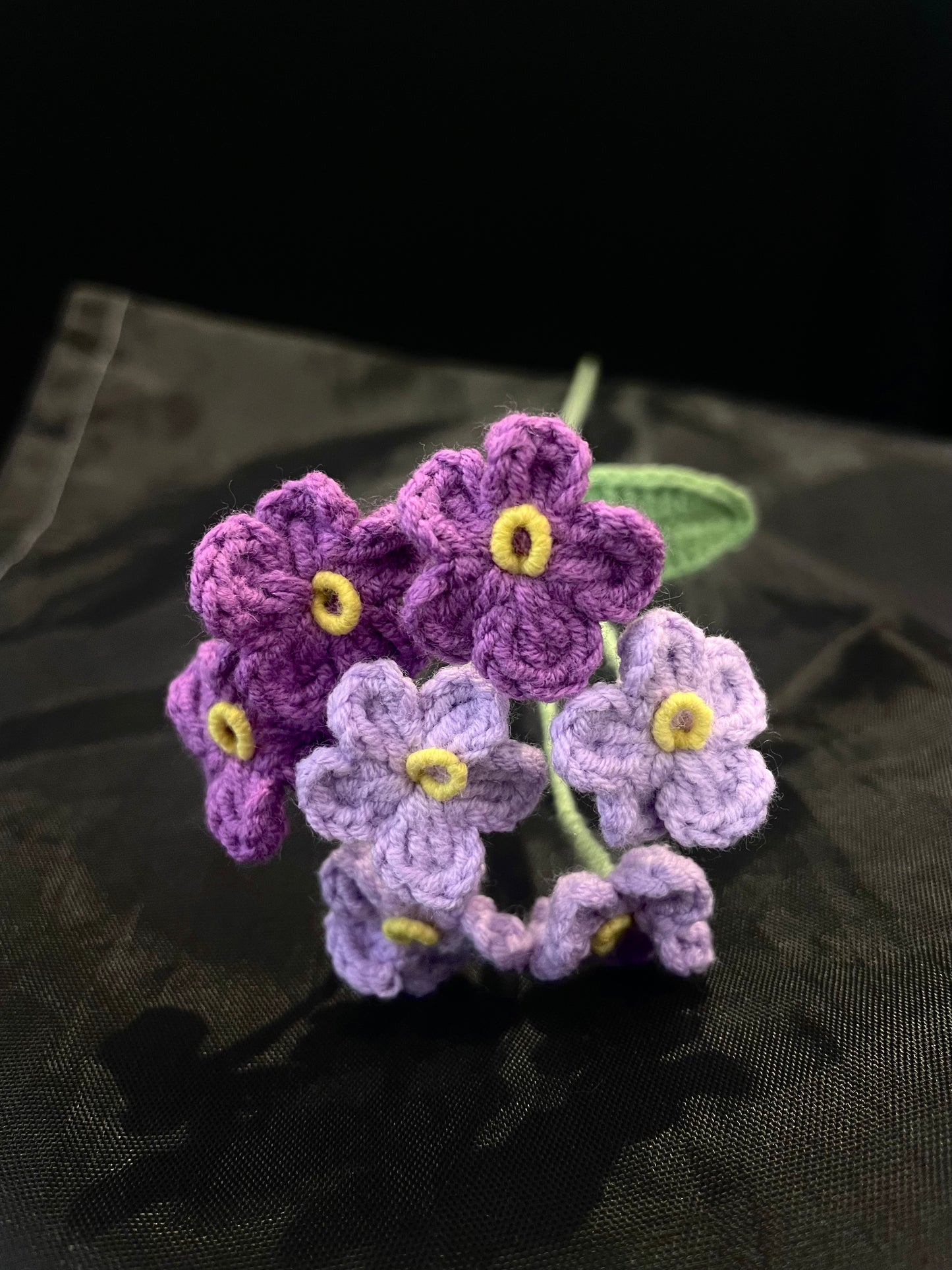 Forget-me-not