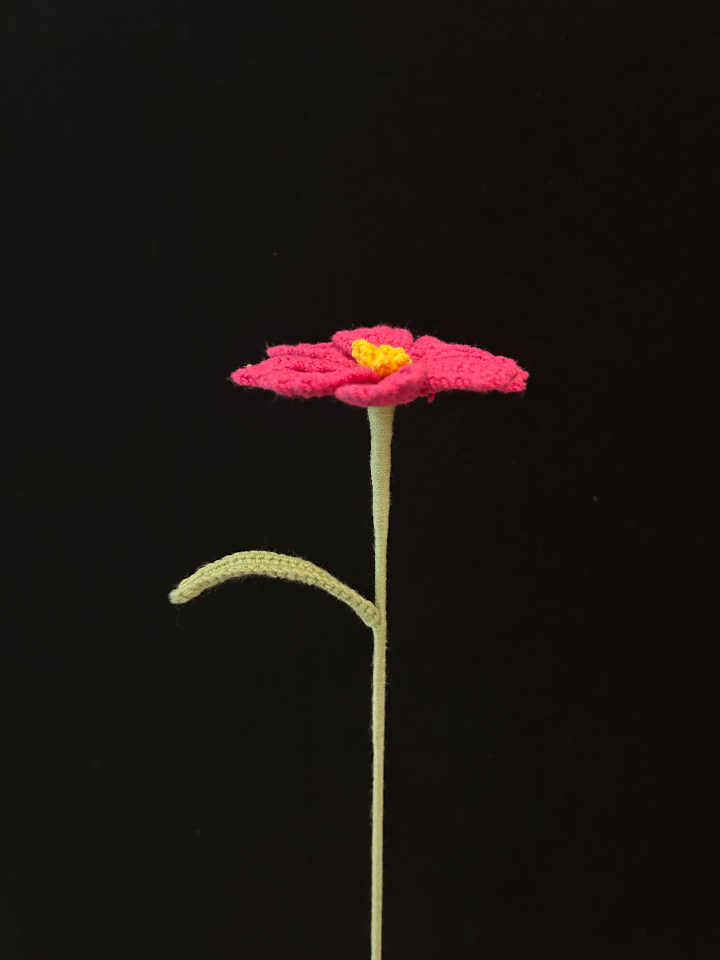 Galsang Flower