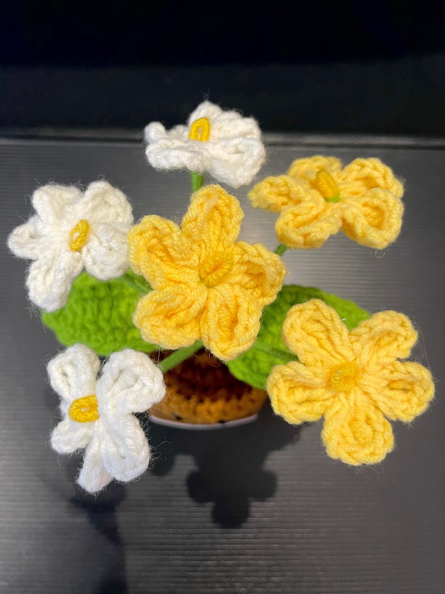 Emotional Support Plant (Foget-me-not)