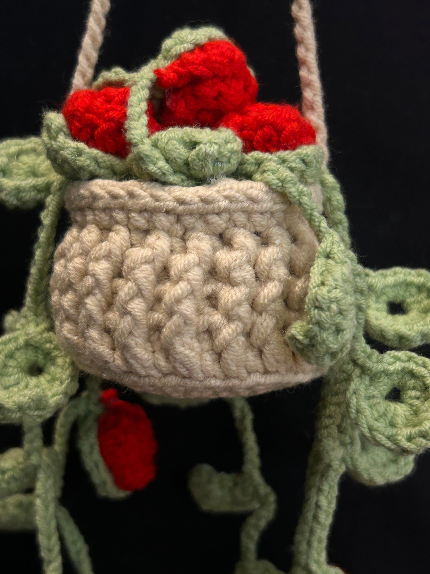 Hanging Red Flower Basket