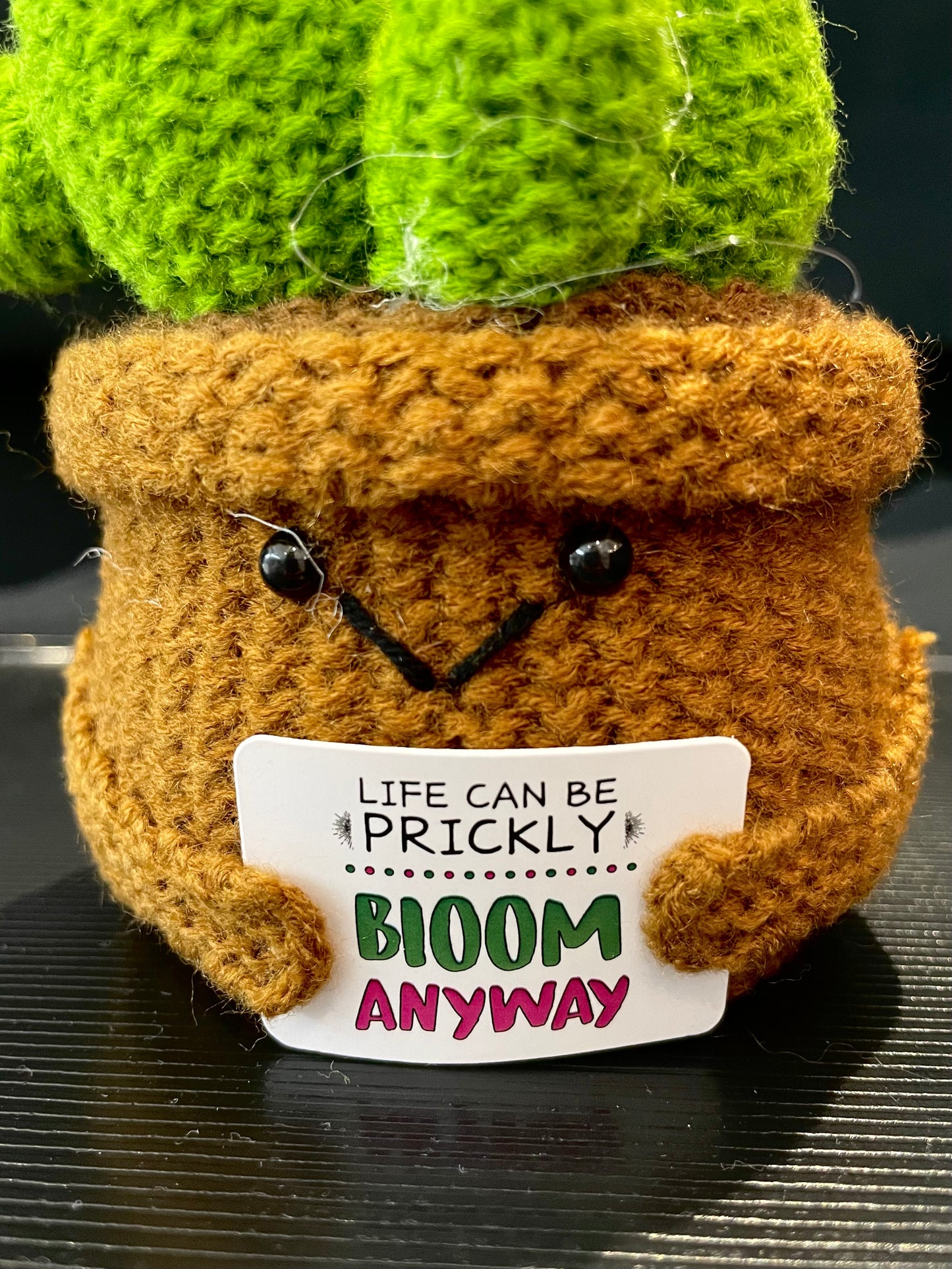 Emotional Support Plant (Cactus)