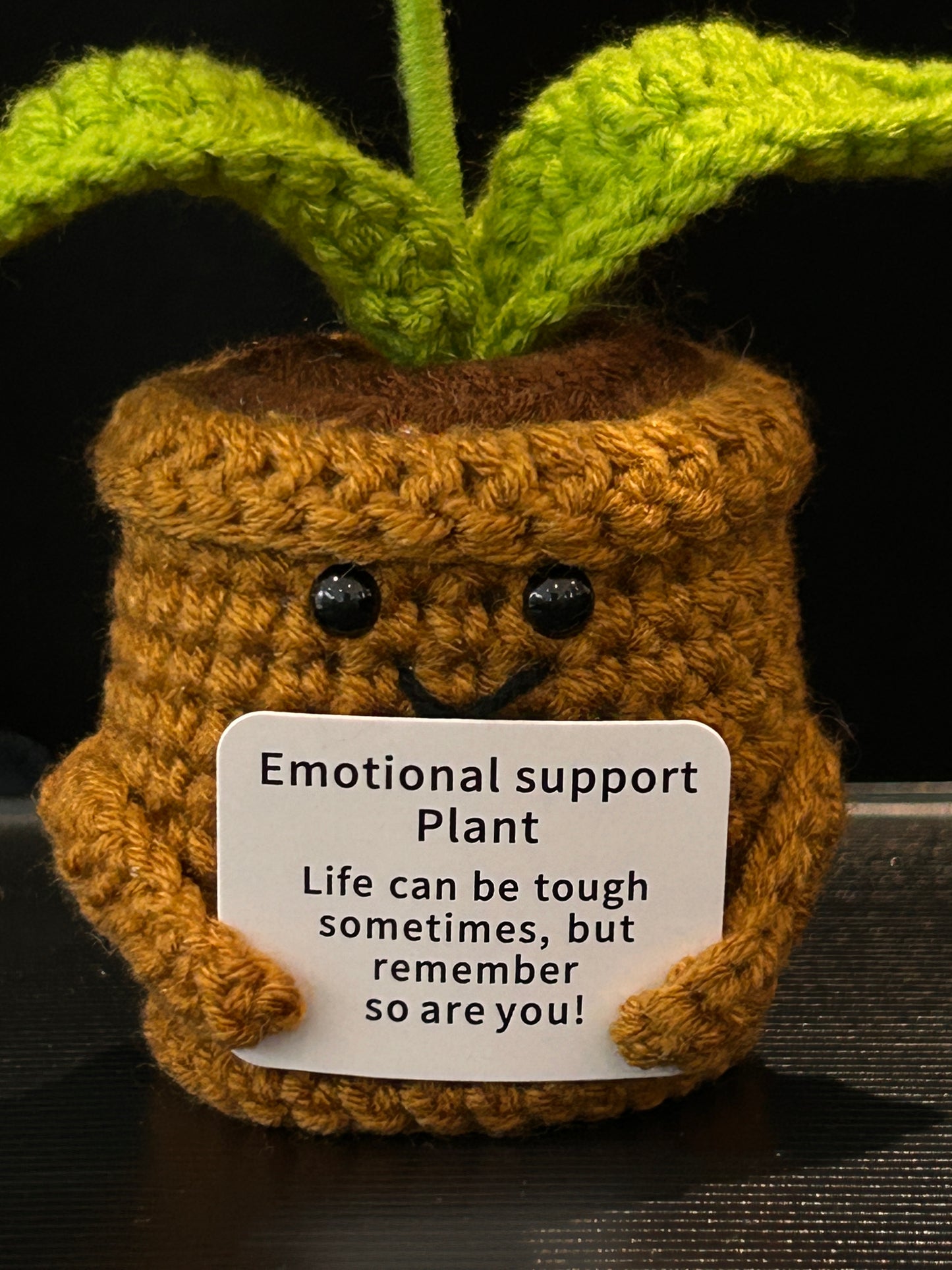 Emotional Support Plant (Rose)
