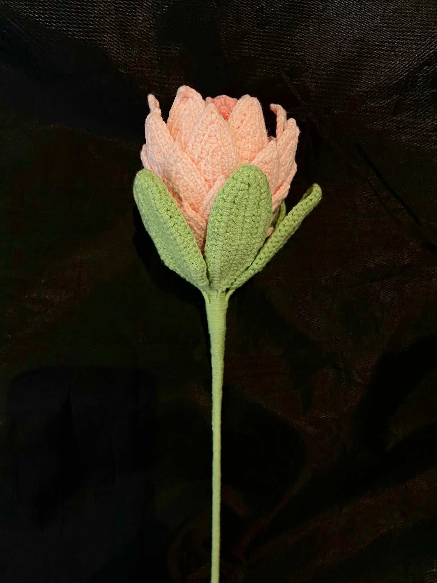King Protea