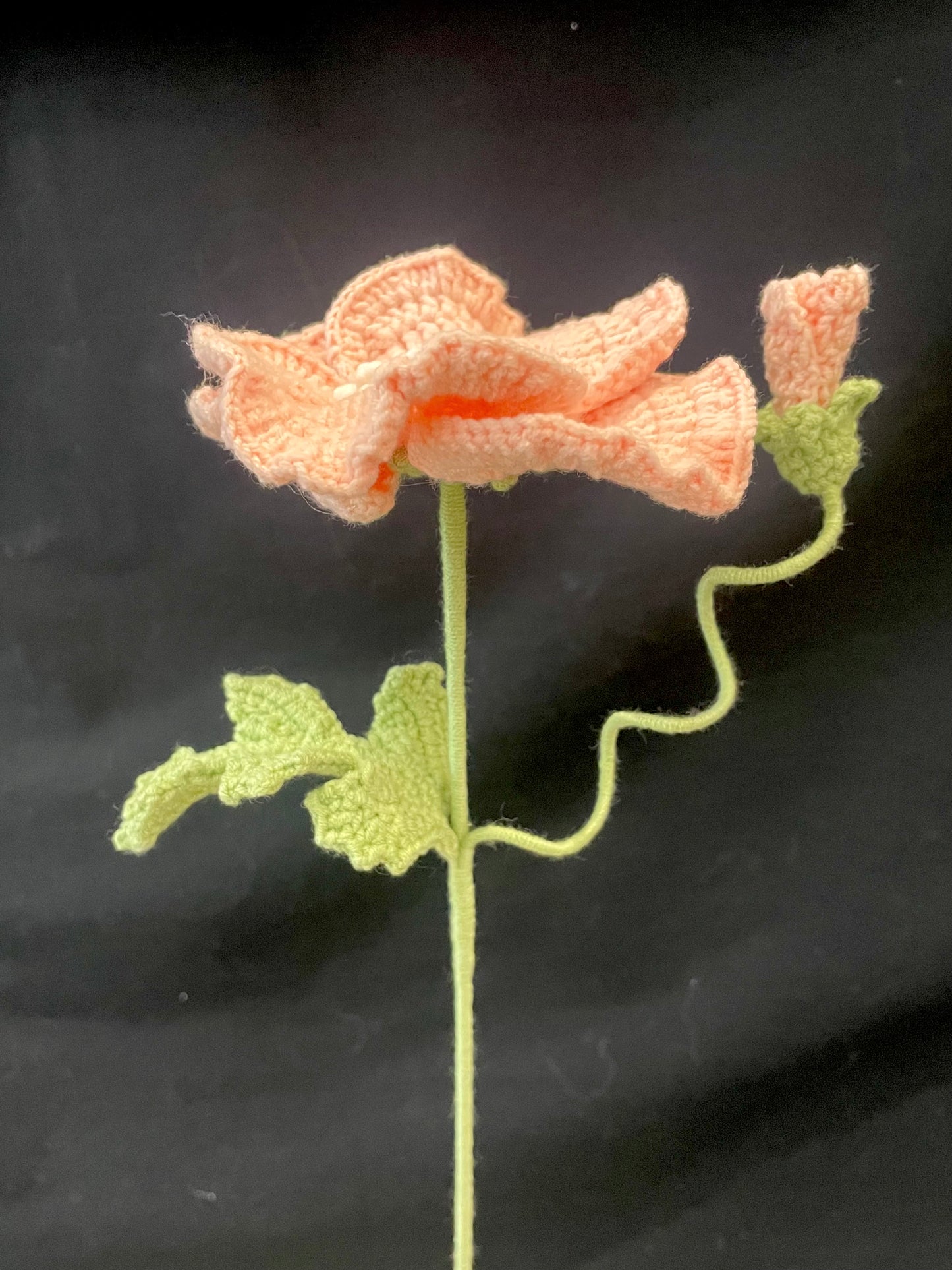 Poppy
