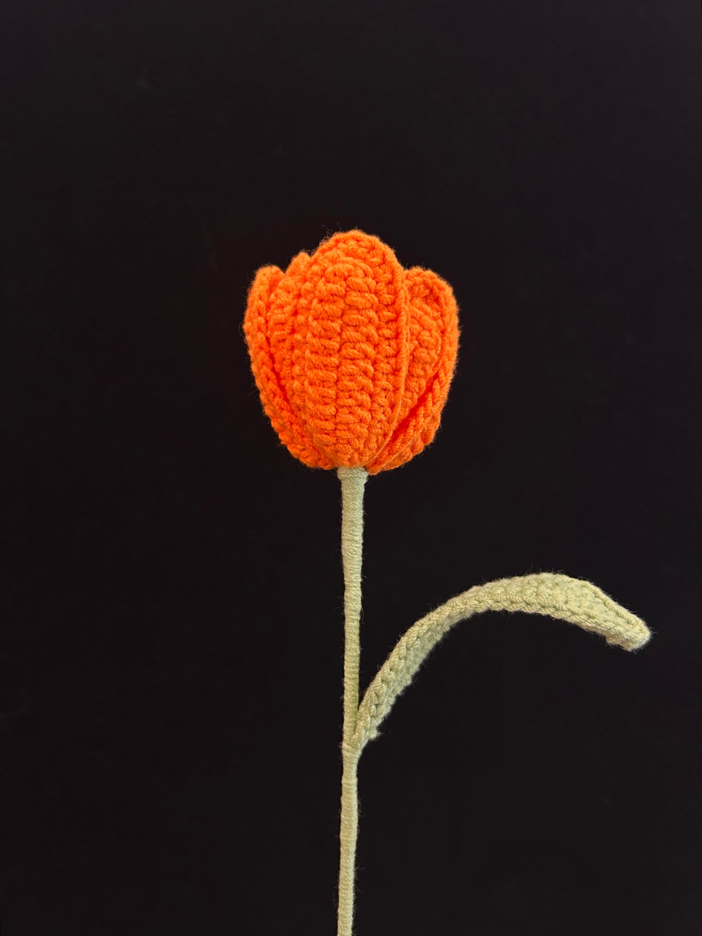 Tulip