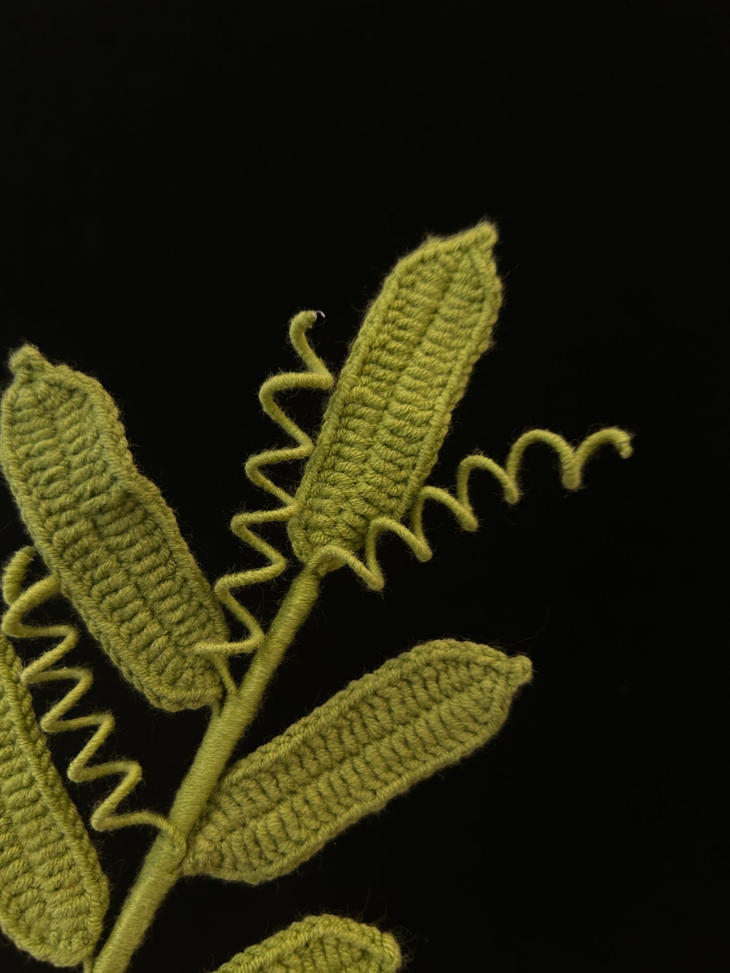 Leaf with Tendrils