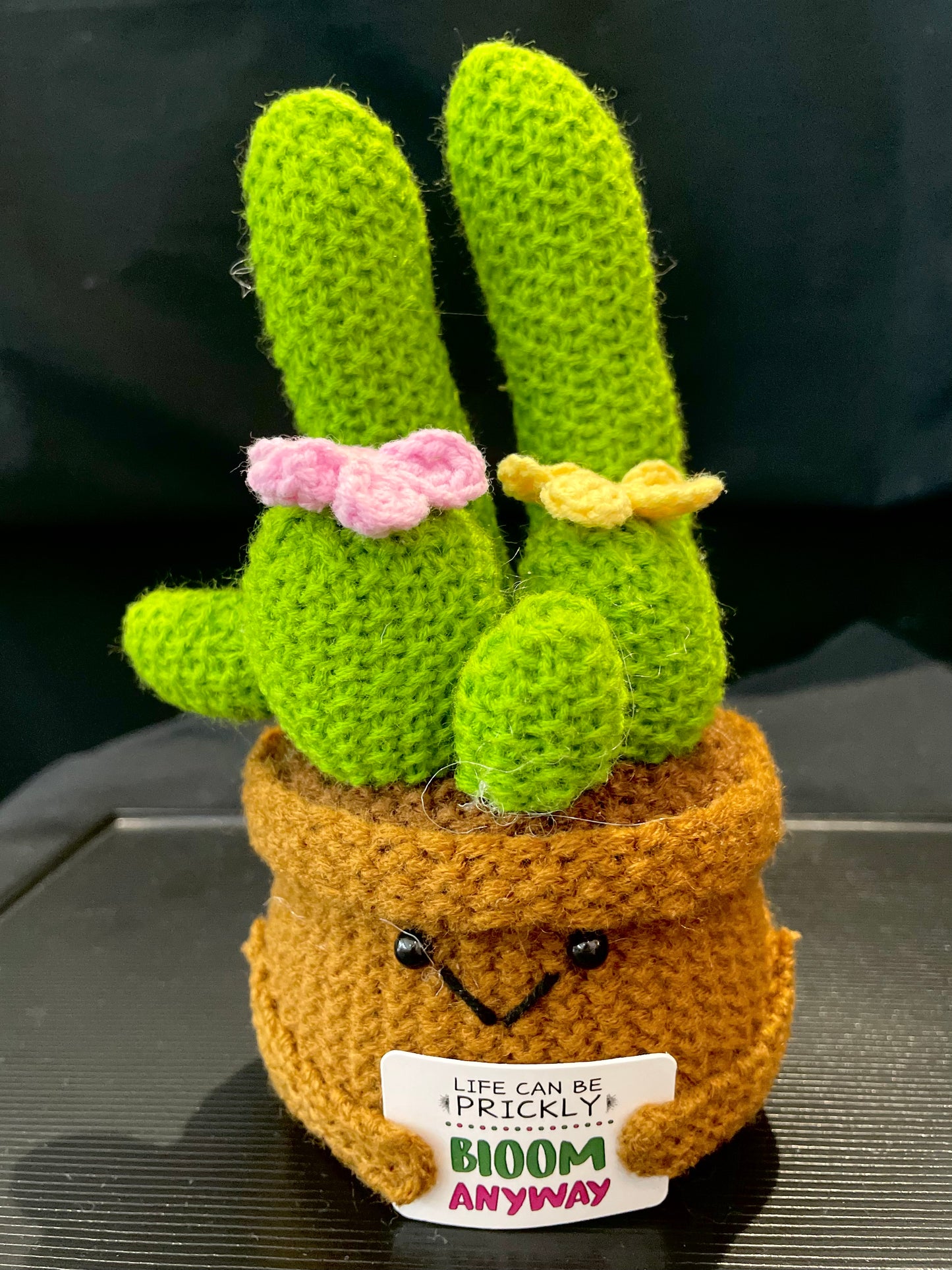 Emotional Support Plant (Cactus)