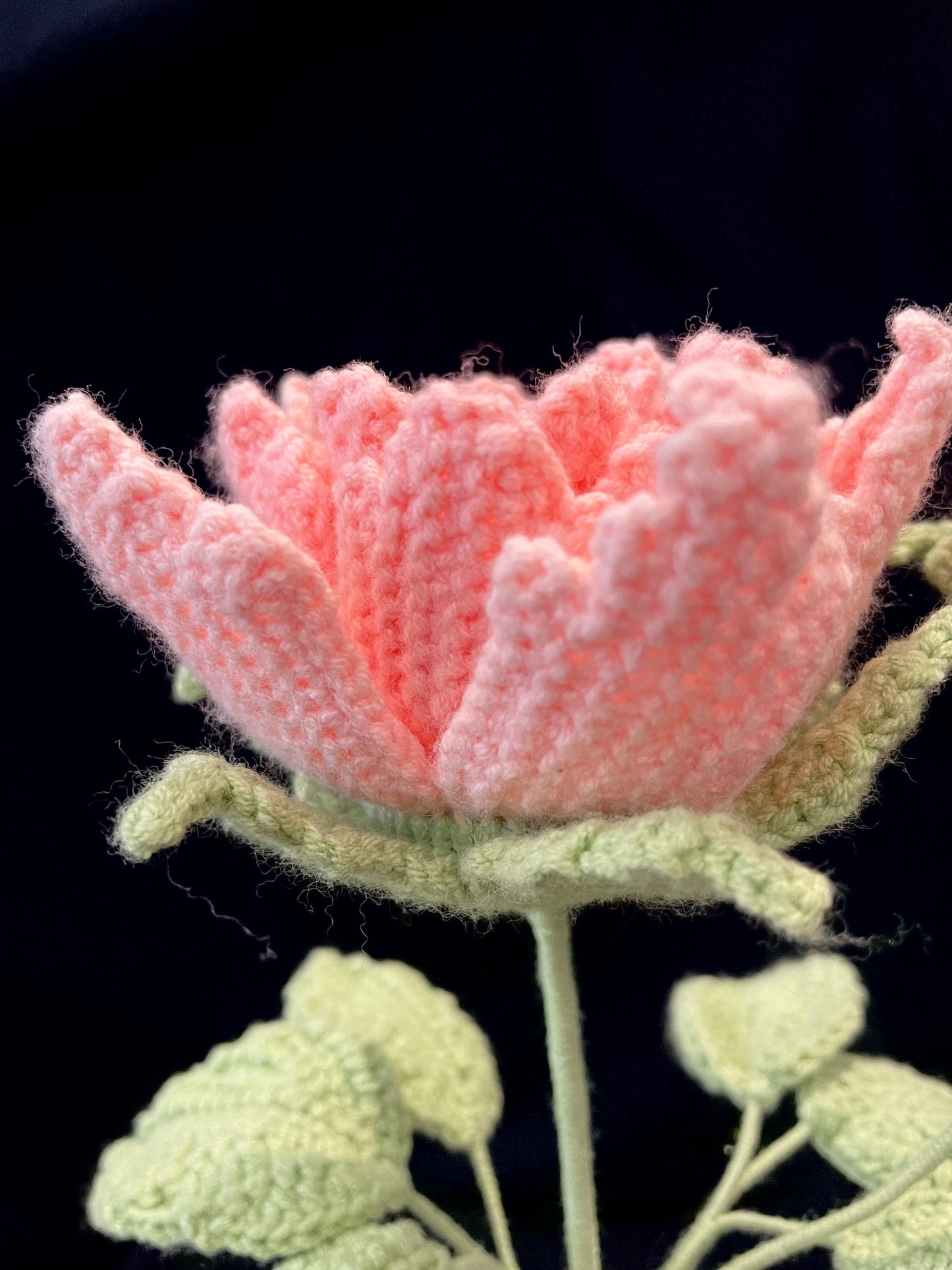 Peony Vase