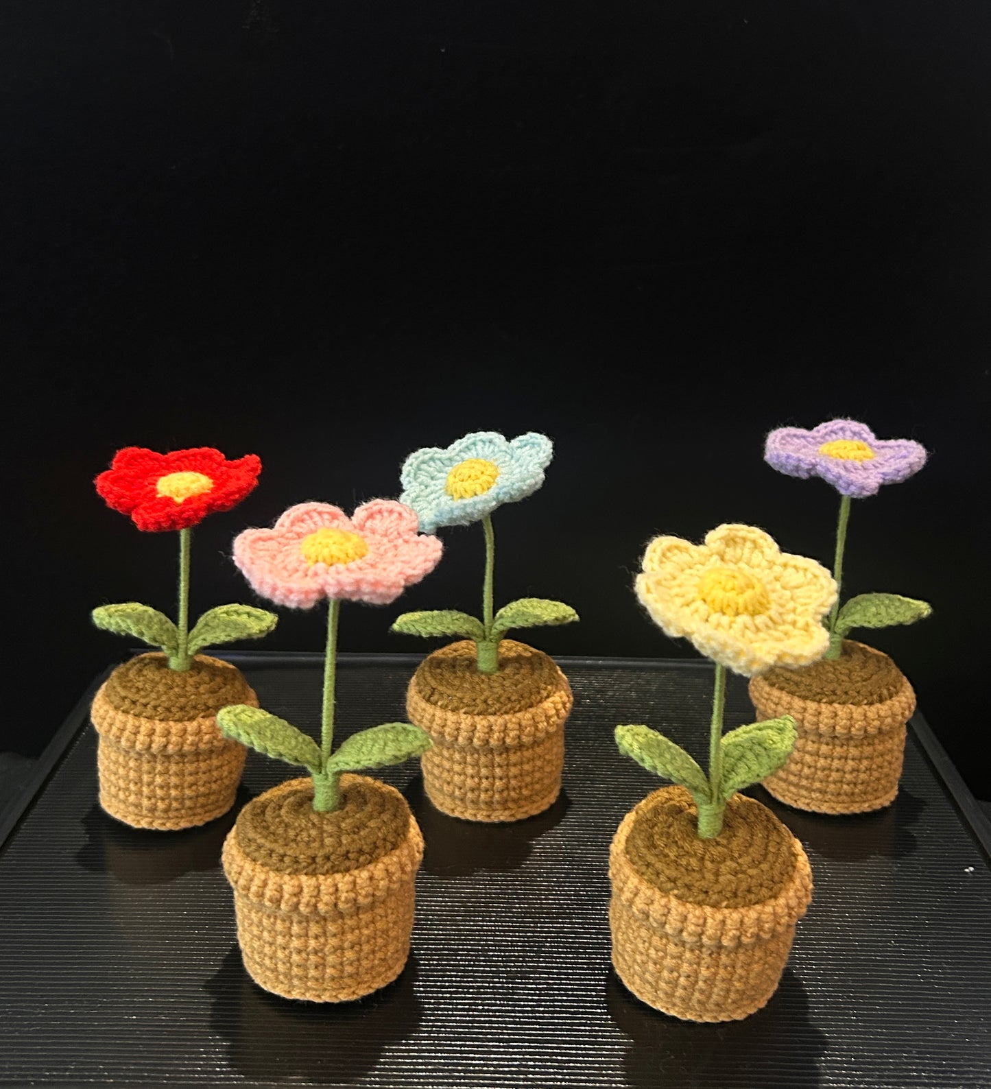 Daisy Pot (Single)