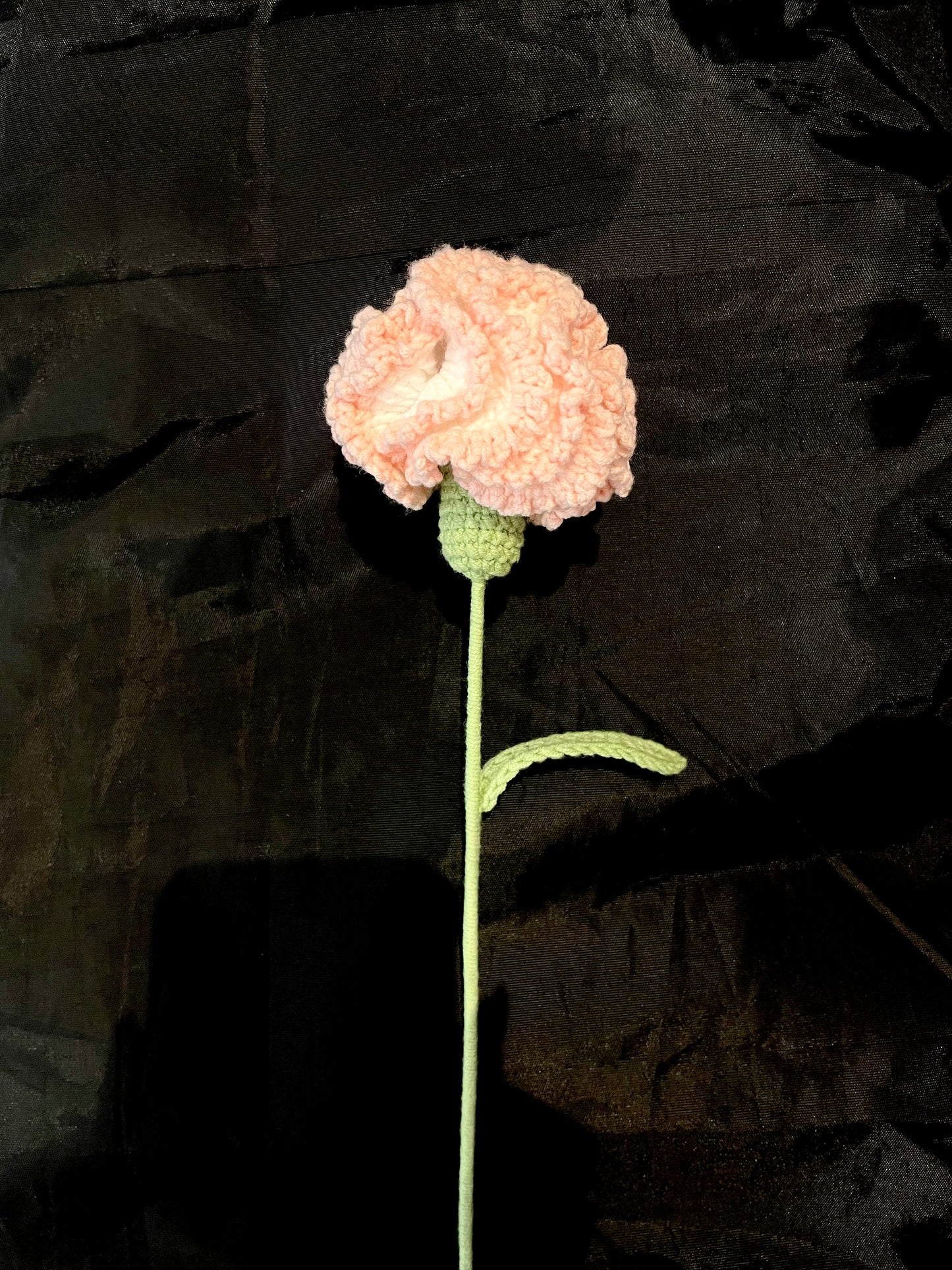 Carnation