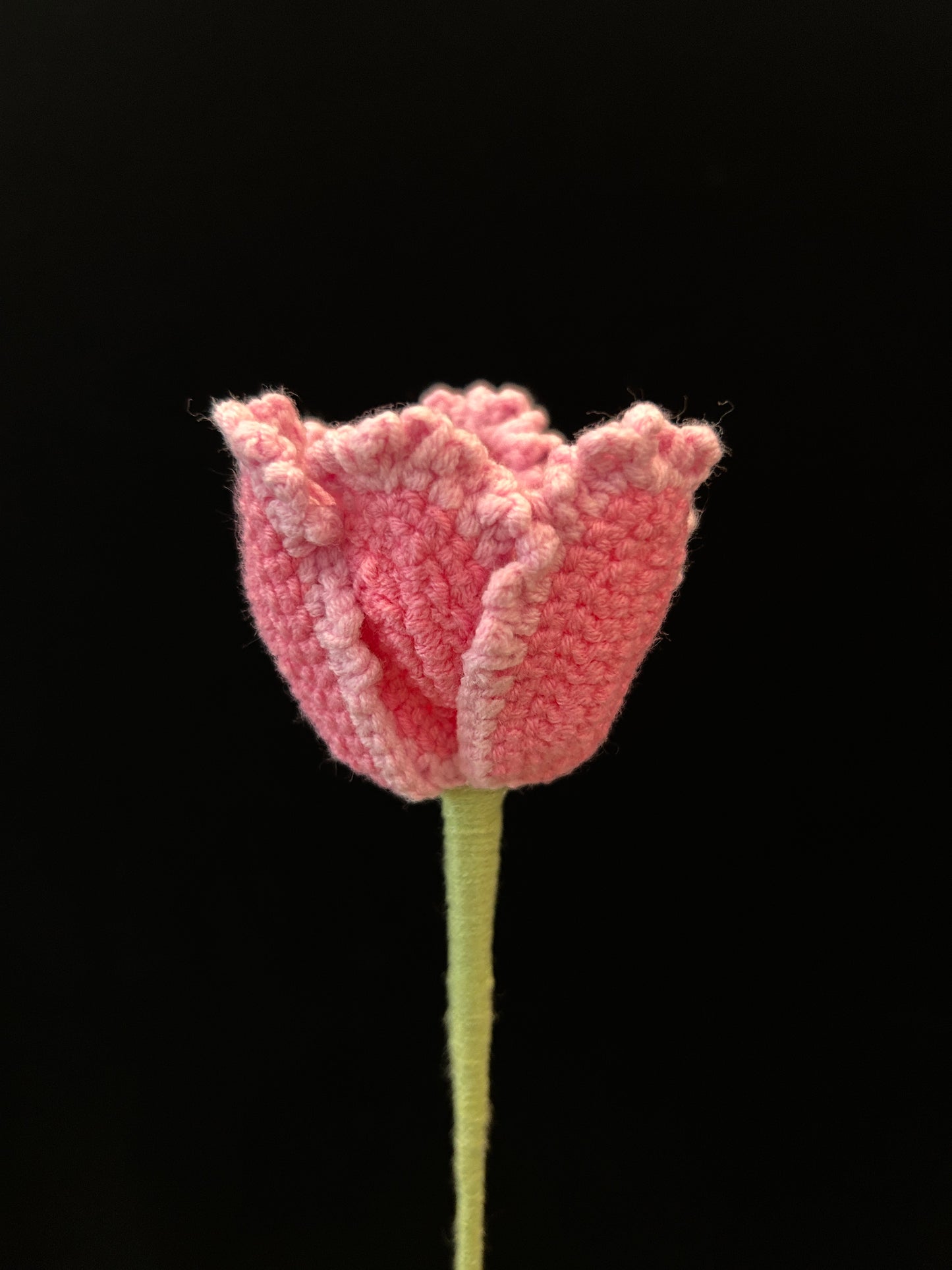 Tulip (Curly Petal)