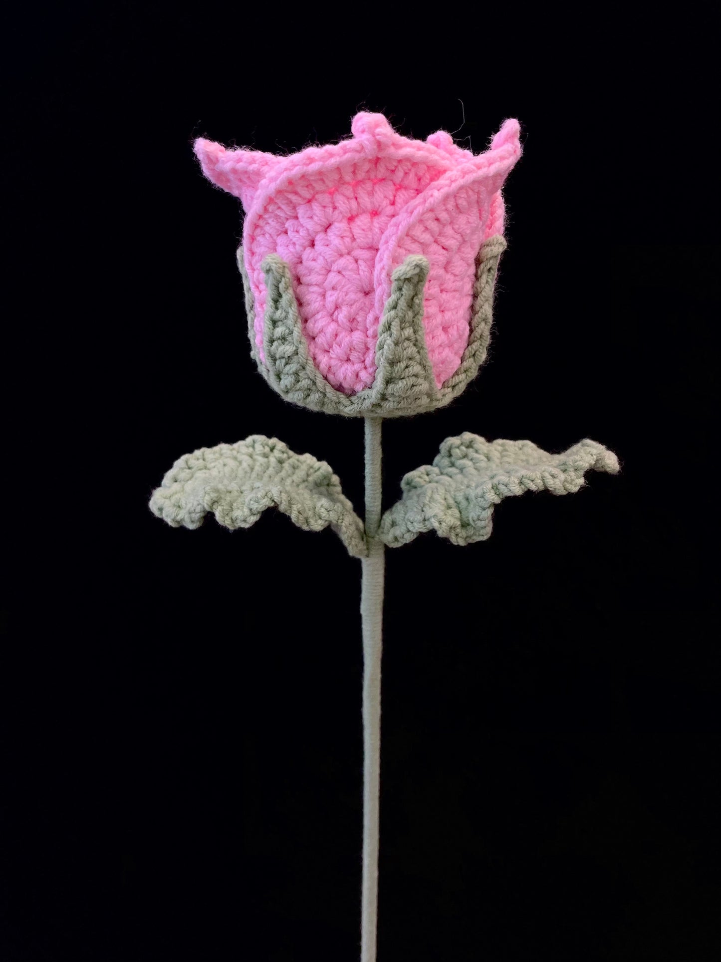 Thai Rose