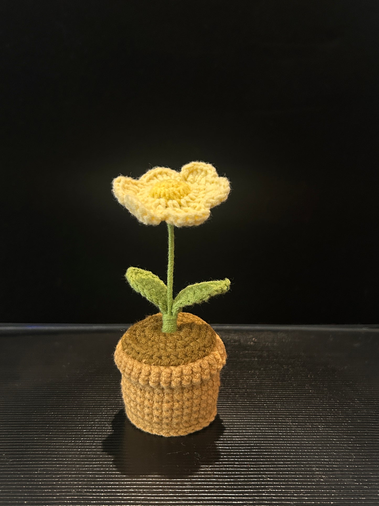 Daisy Pot (Single)