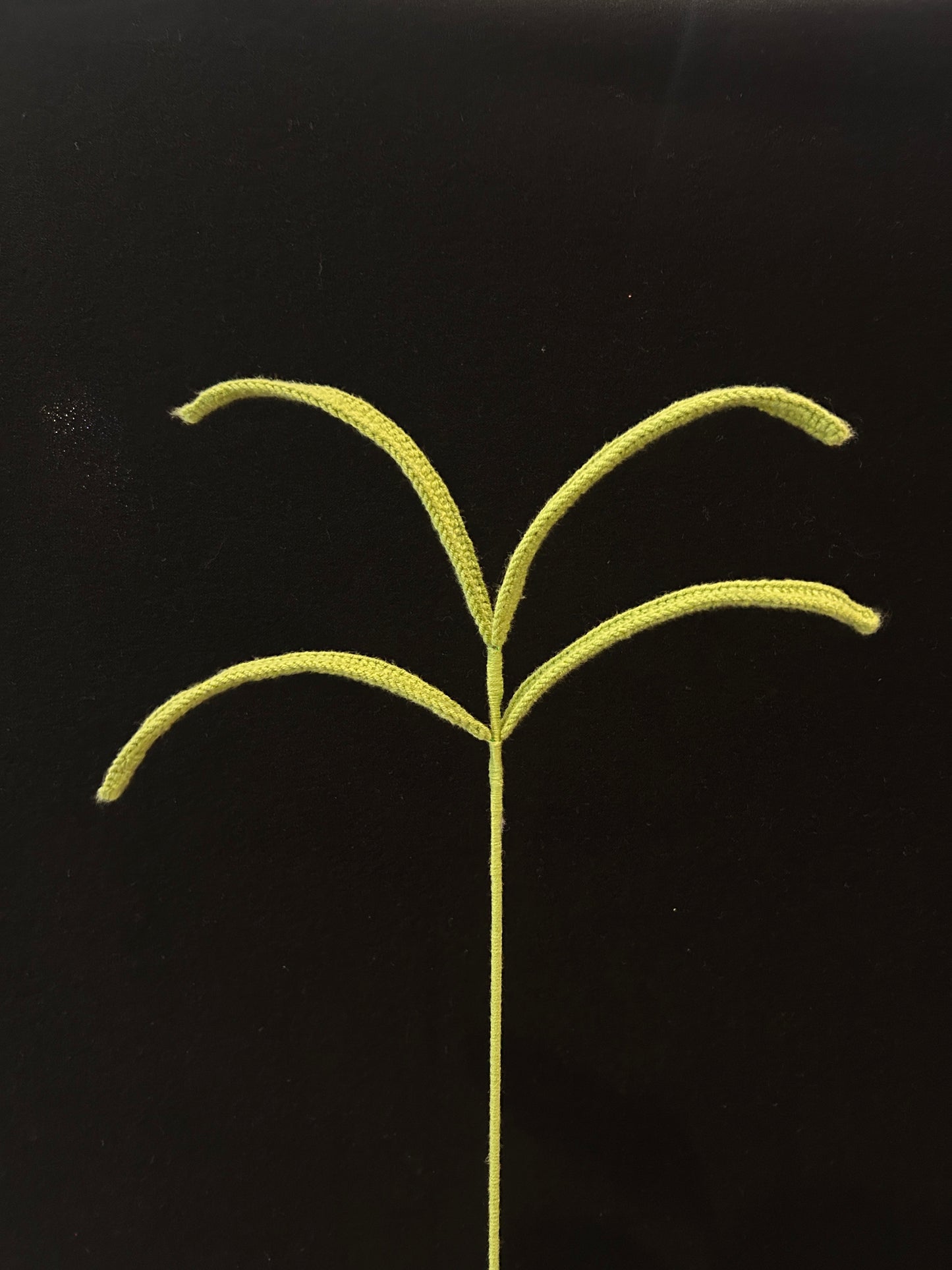 Forked Sprout