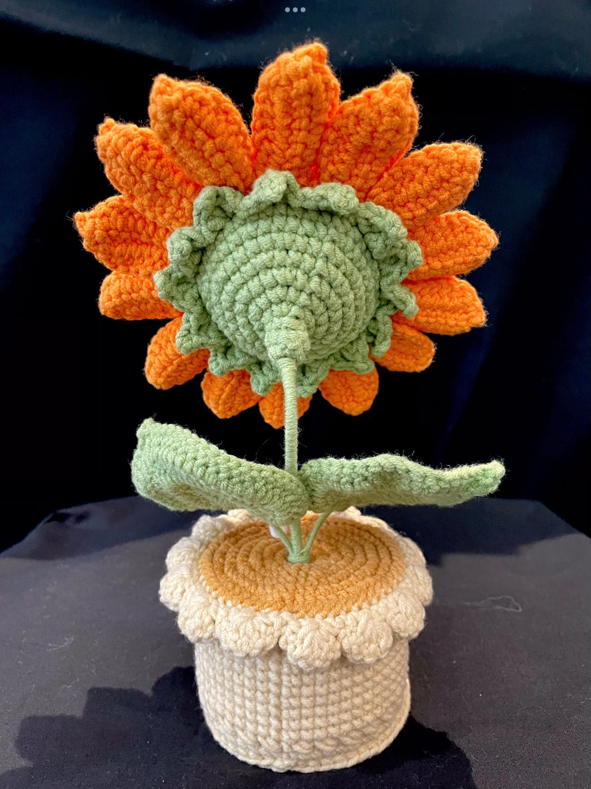 Sunflower Pot (Single-Layer)