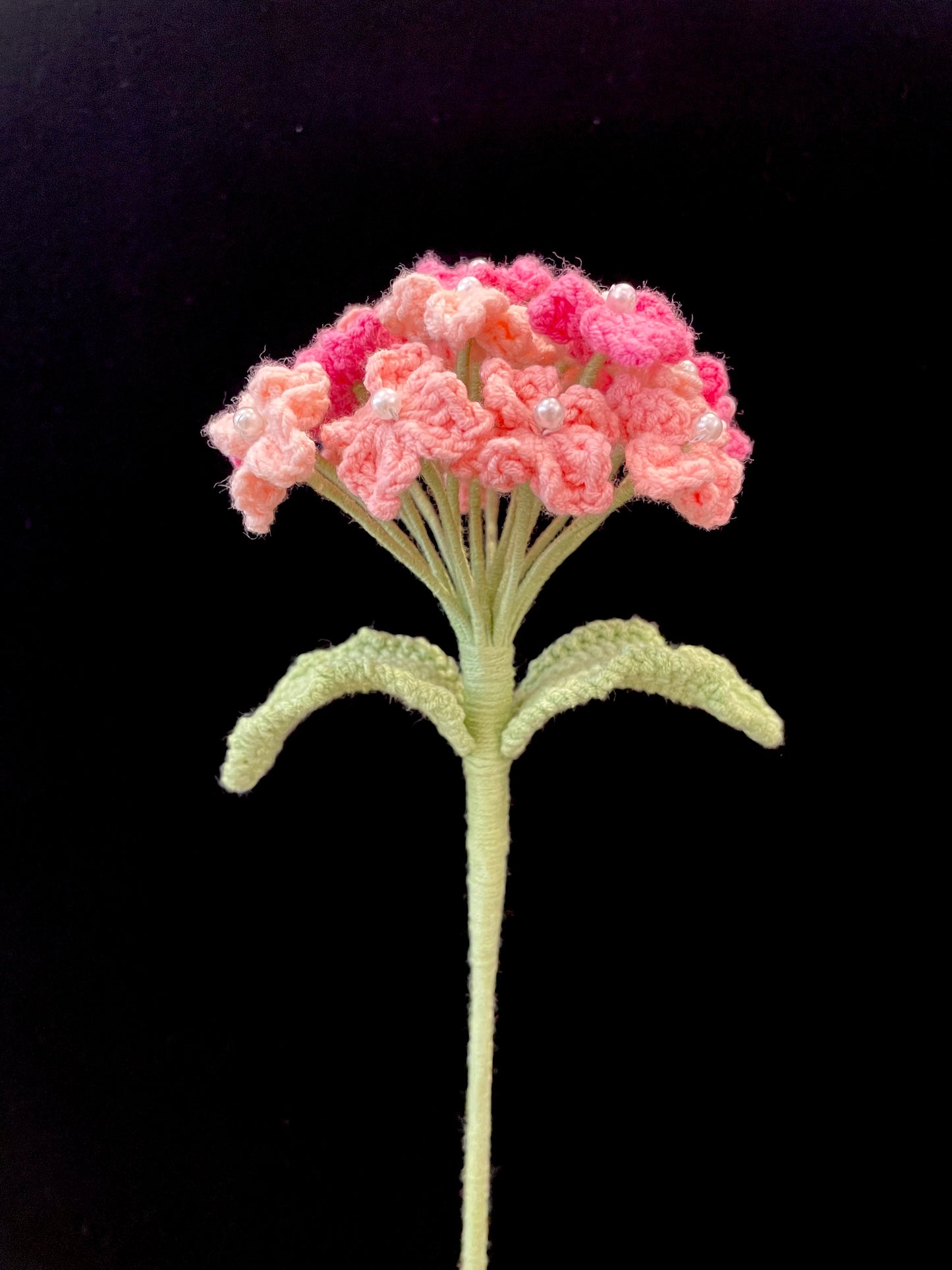 Forget-me-not (Large)