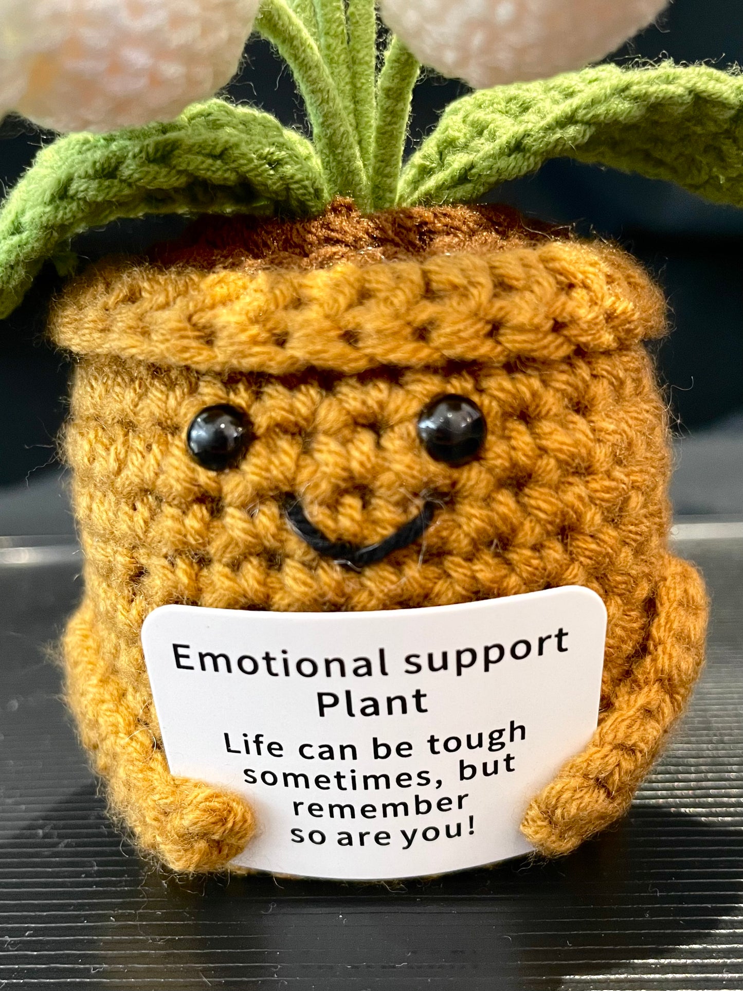 Emotional Support Plant (Lily of the Valley)