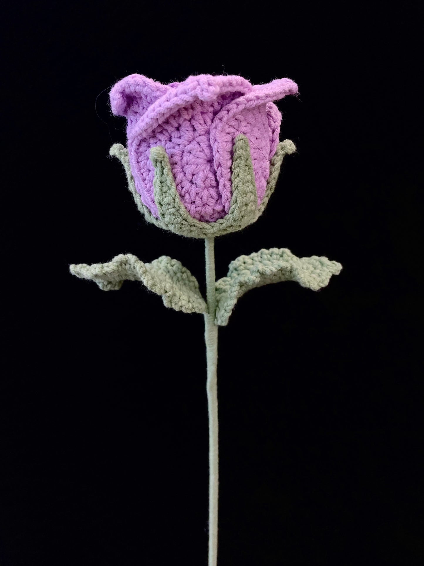 Thai Rose