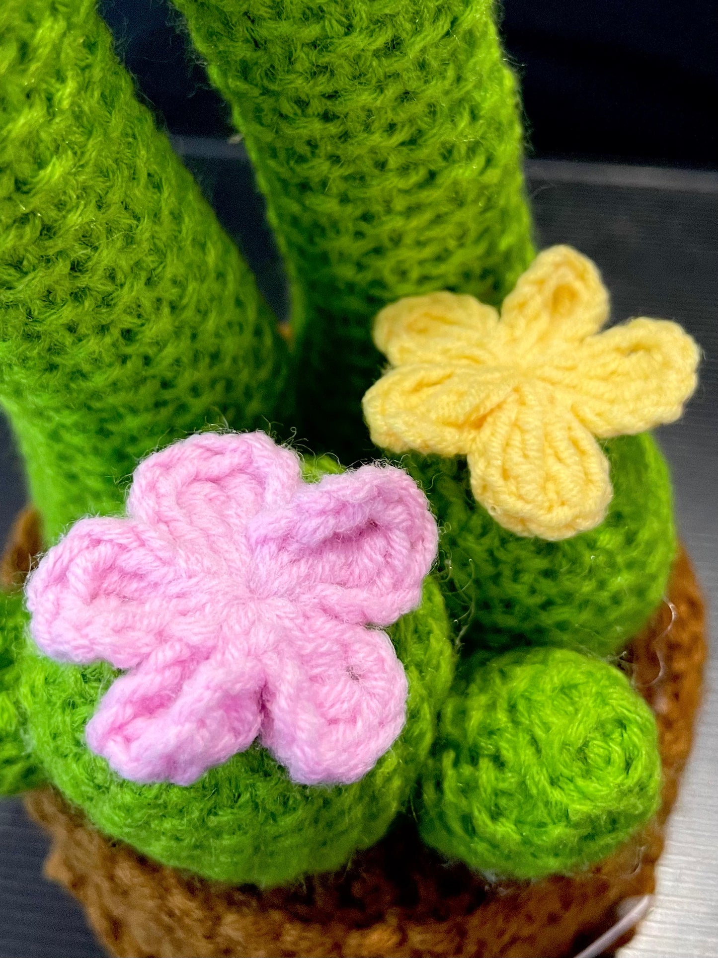 Emotional Support Plant (Cactus)