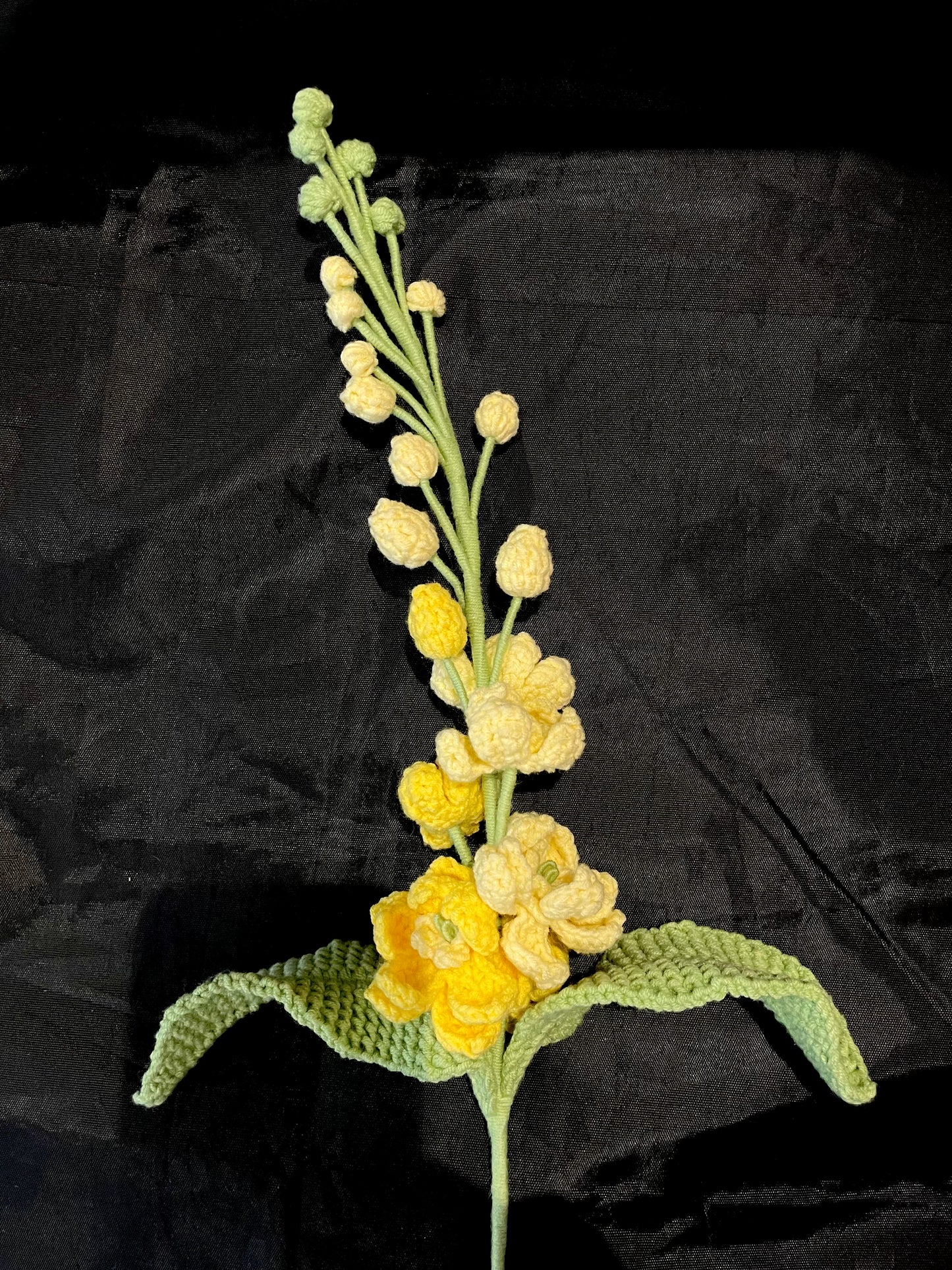 Delphinium