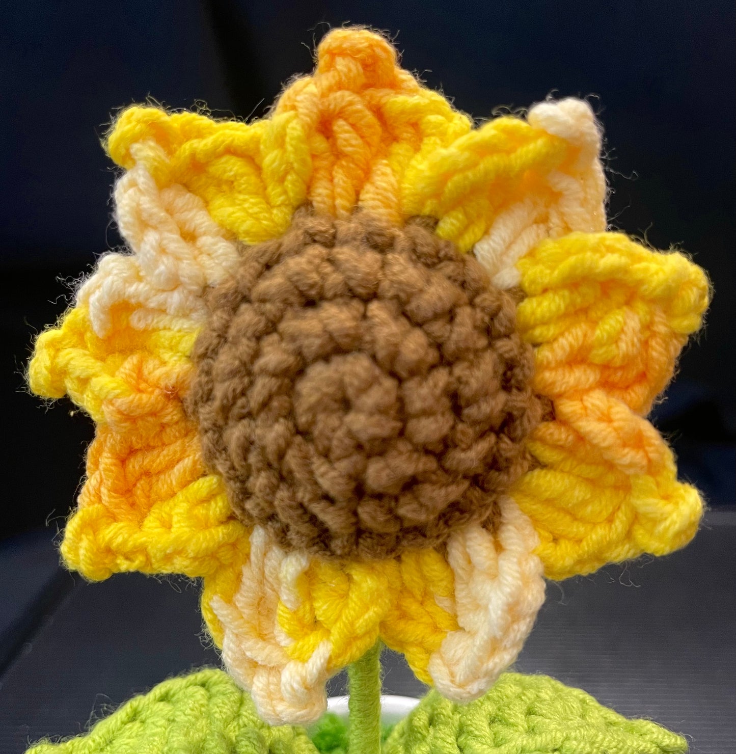 Sunflower in White Pot