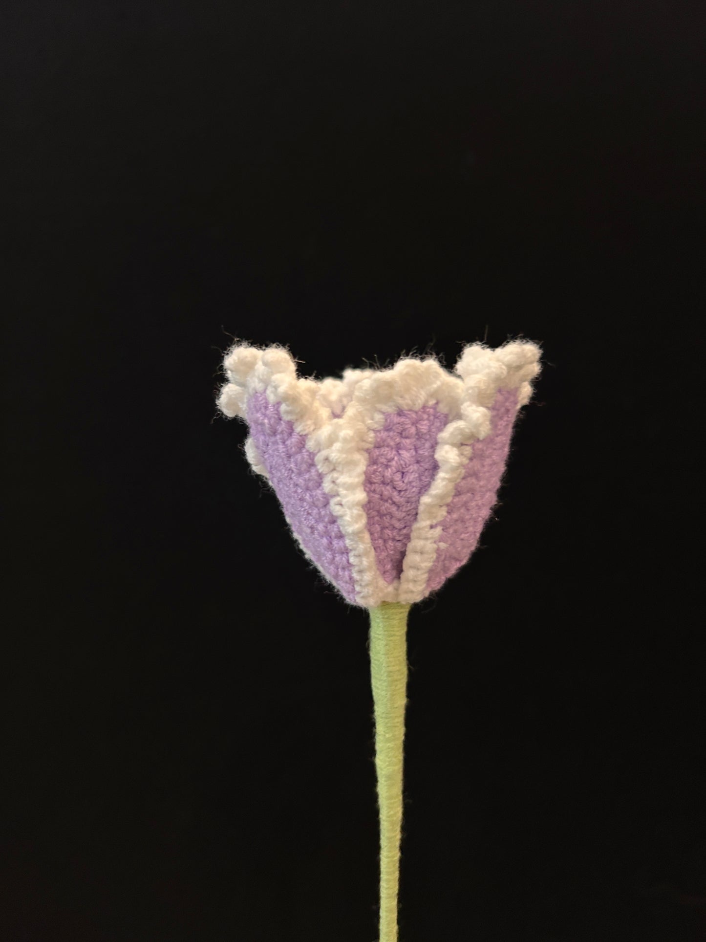 Tulip (Curly Petal)