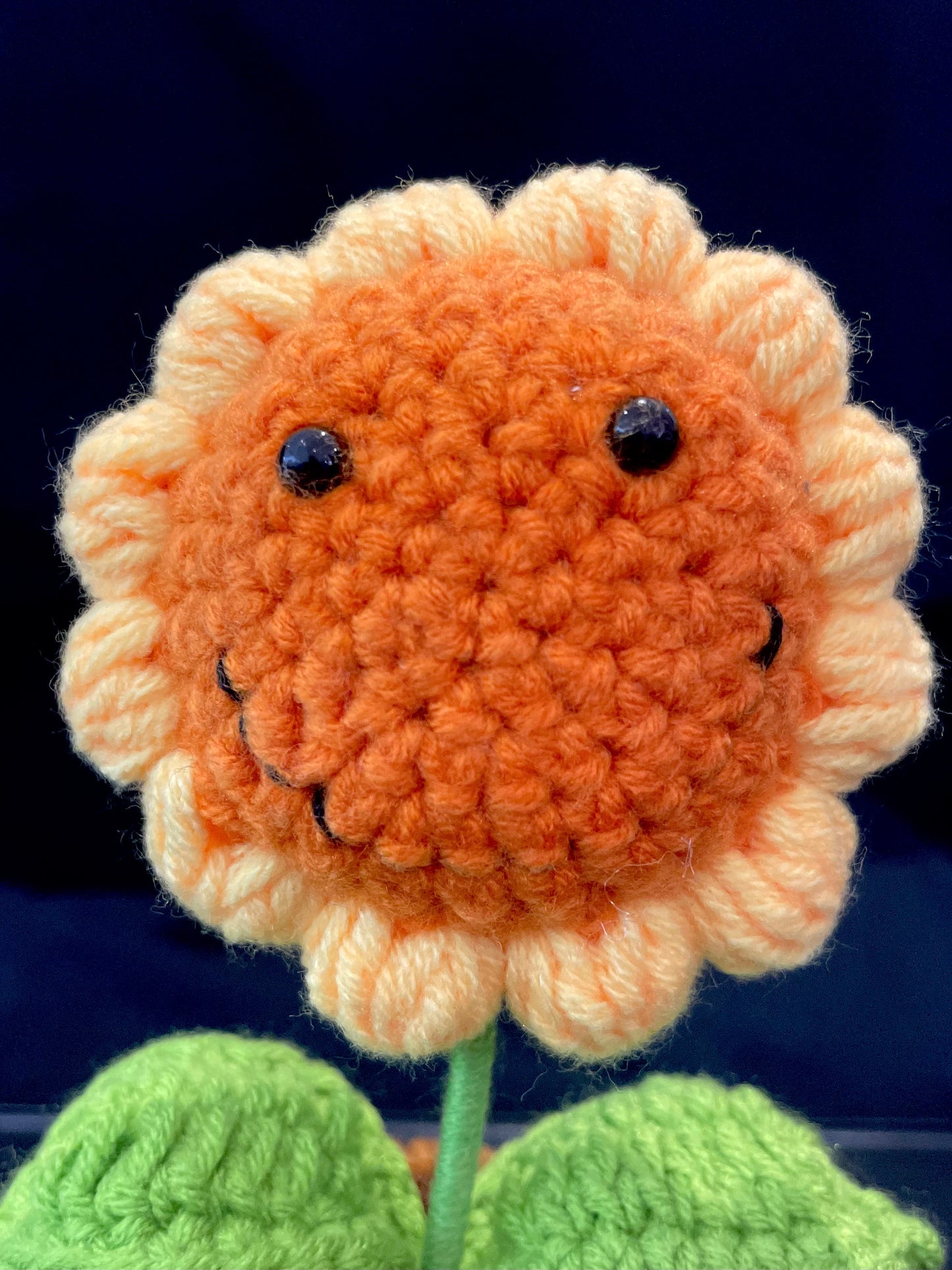 Emotional Support Plant (Sunflower)