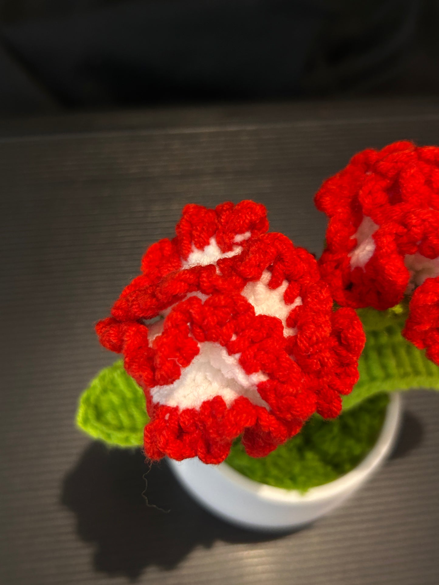 Carnation in White Pot