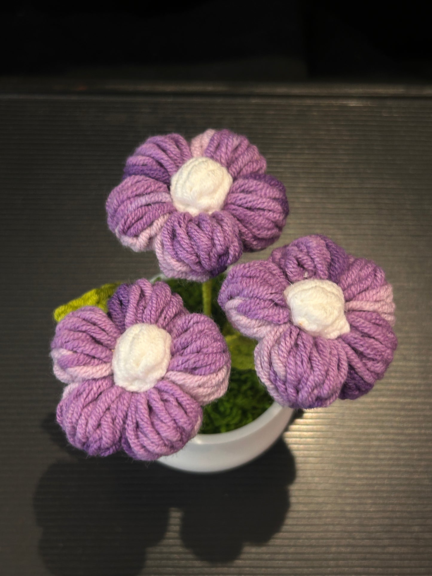 Puff Flower in White Pot