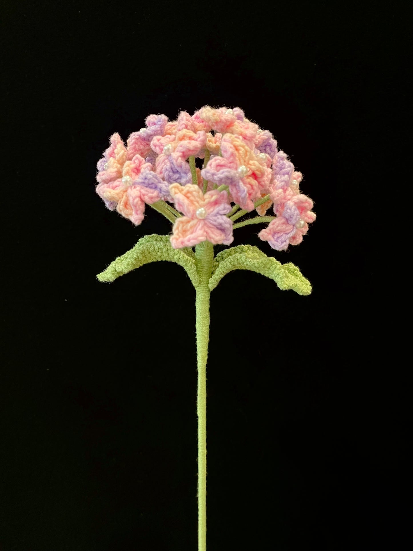 Forget-me-not (Large)