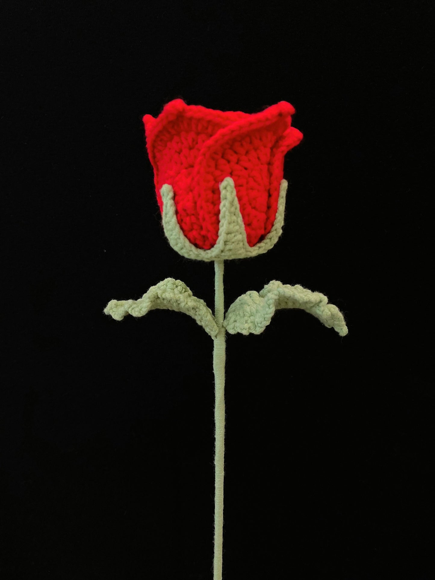 Thai Rose