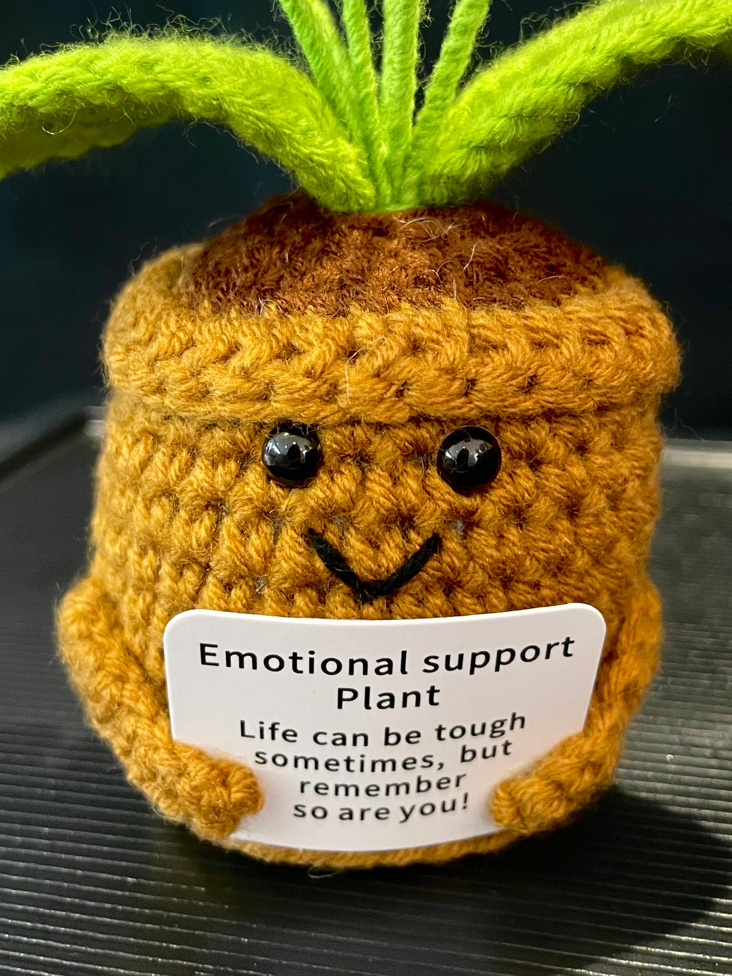 Emotional Support Plant (Foget-me-not)