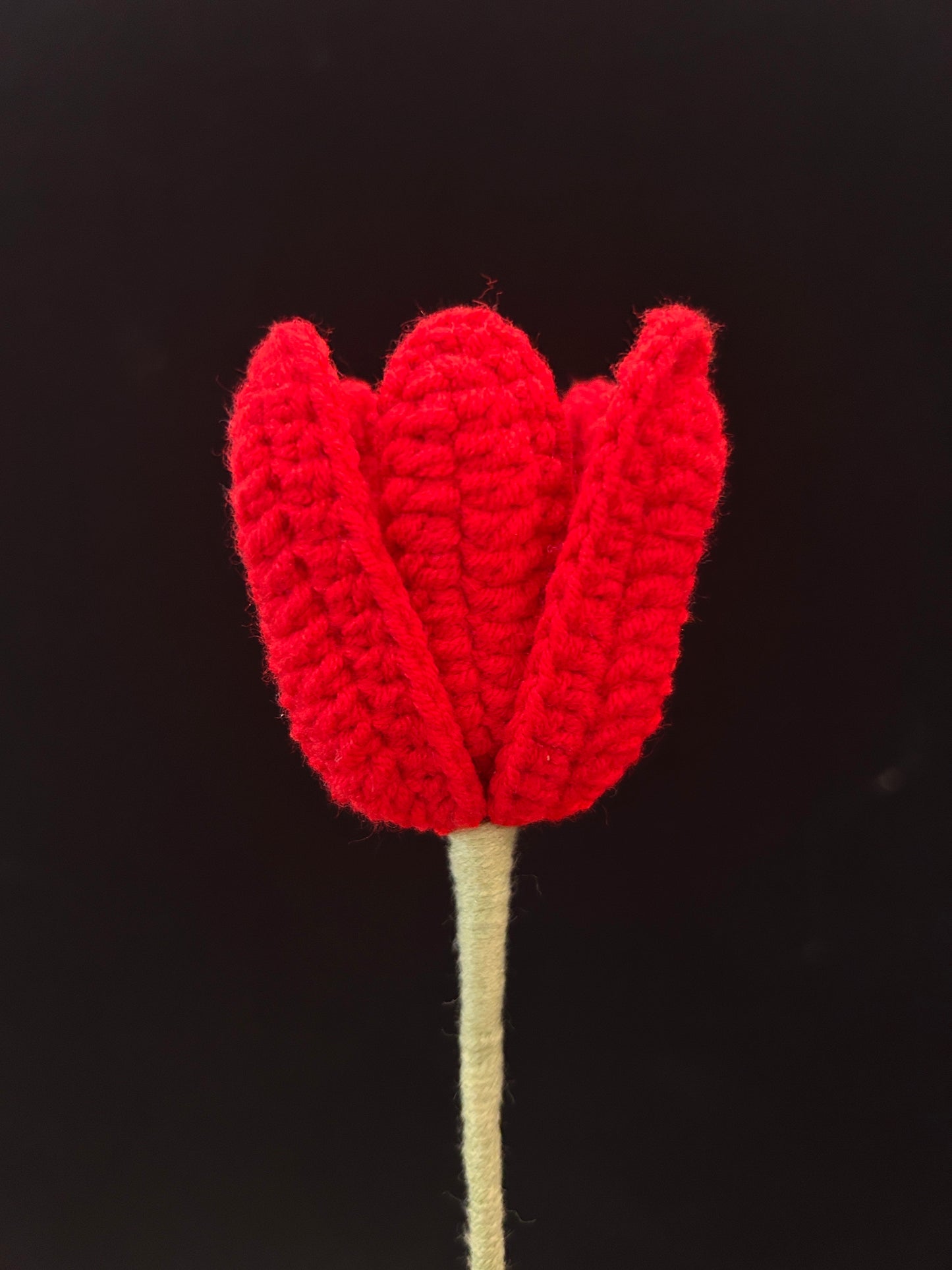 Tulip