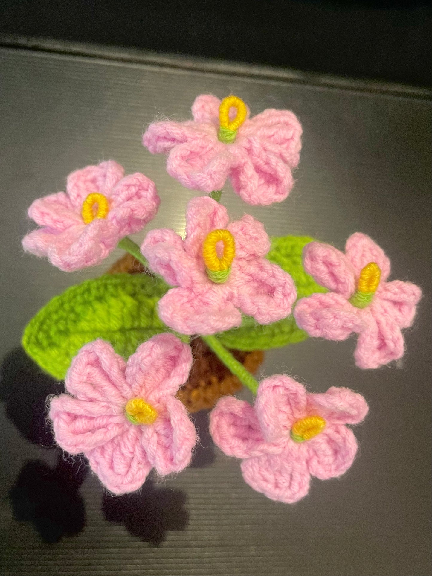 Emotional Support Plant (Foget-me-not)