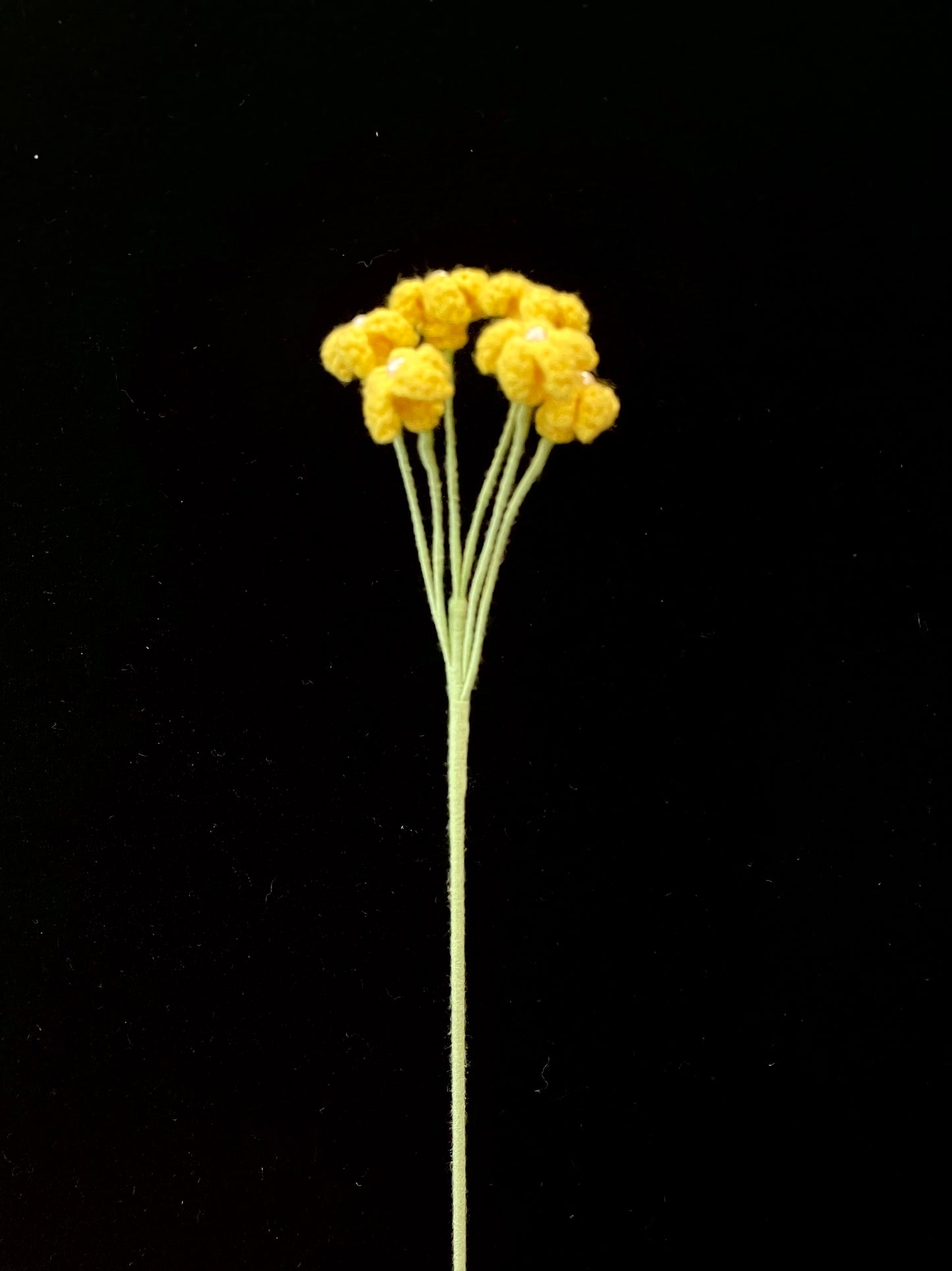 Baby’s Breath