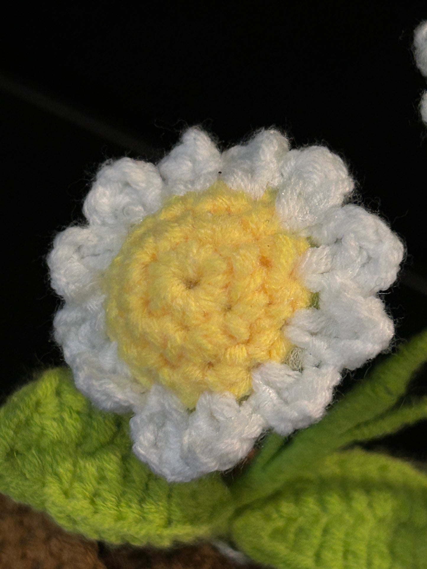 Emotional Support Plant (Three Daisies)