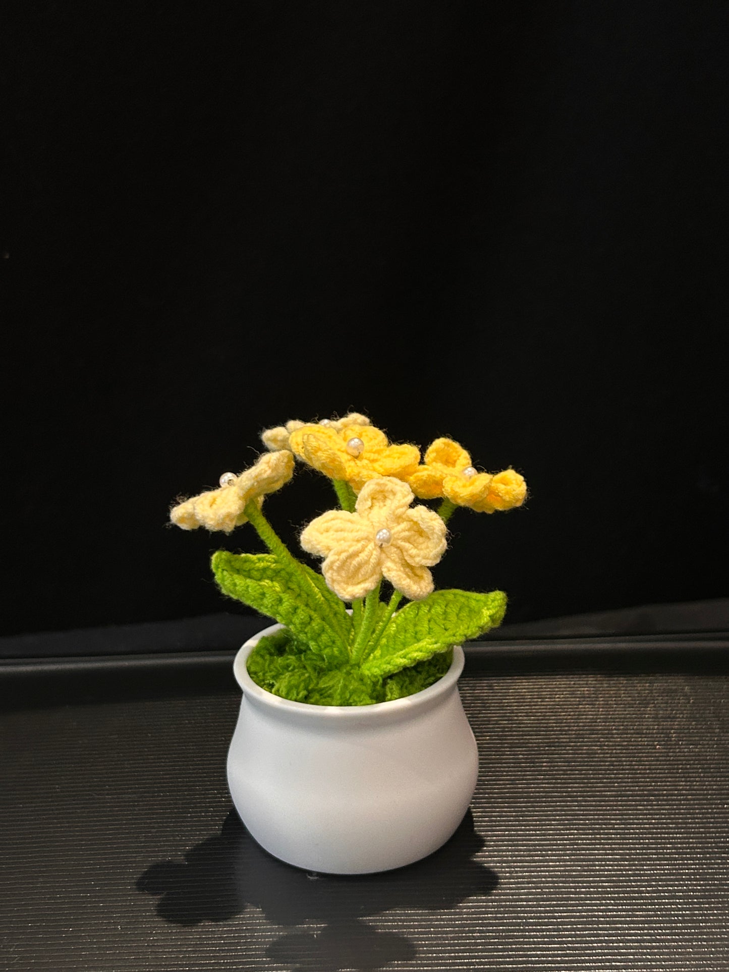Forget-me-not in White pot