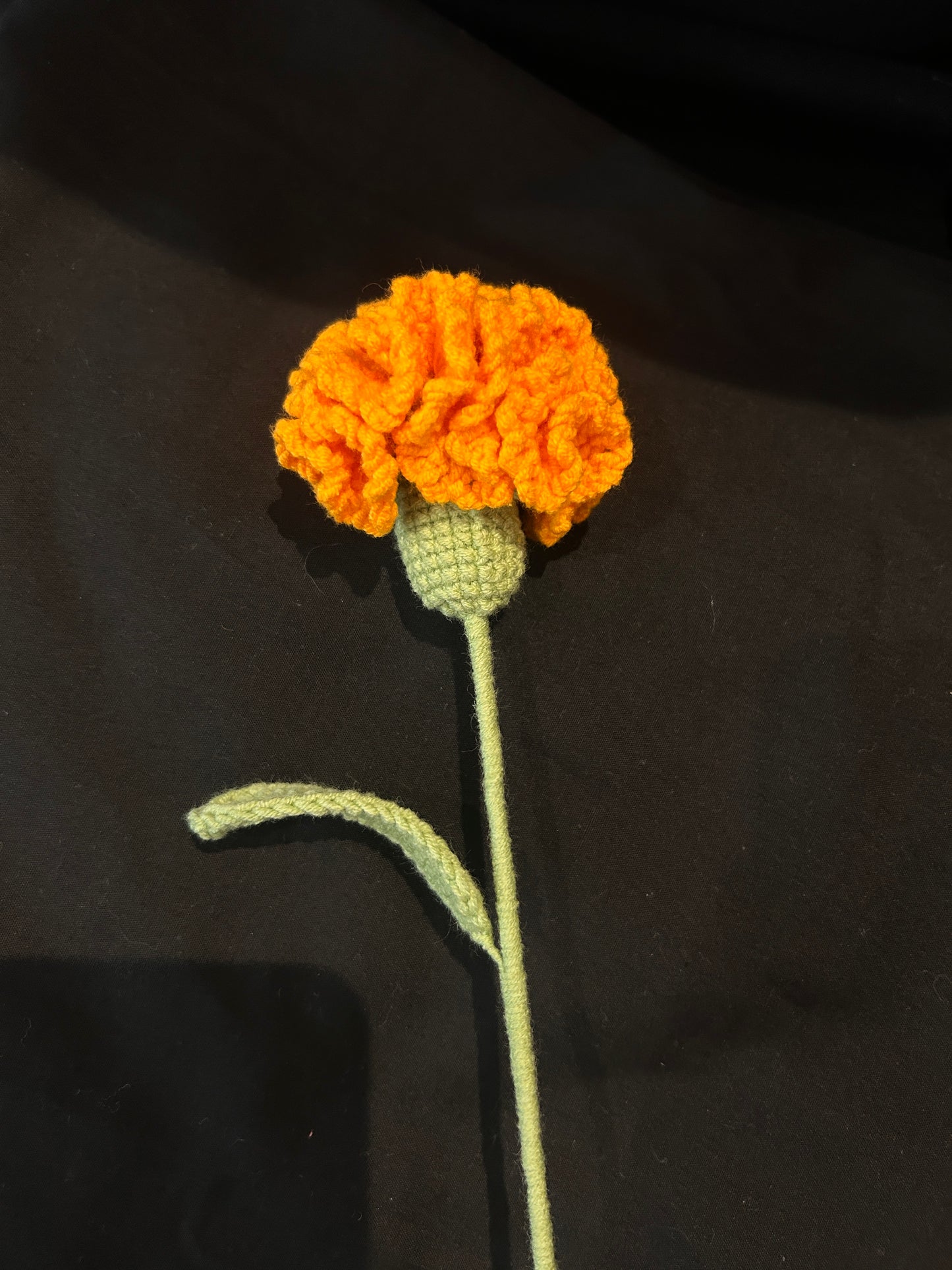 Carnation