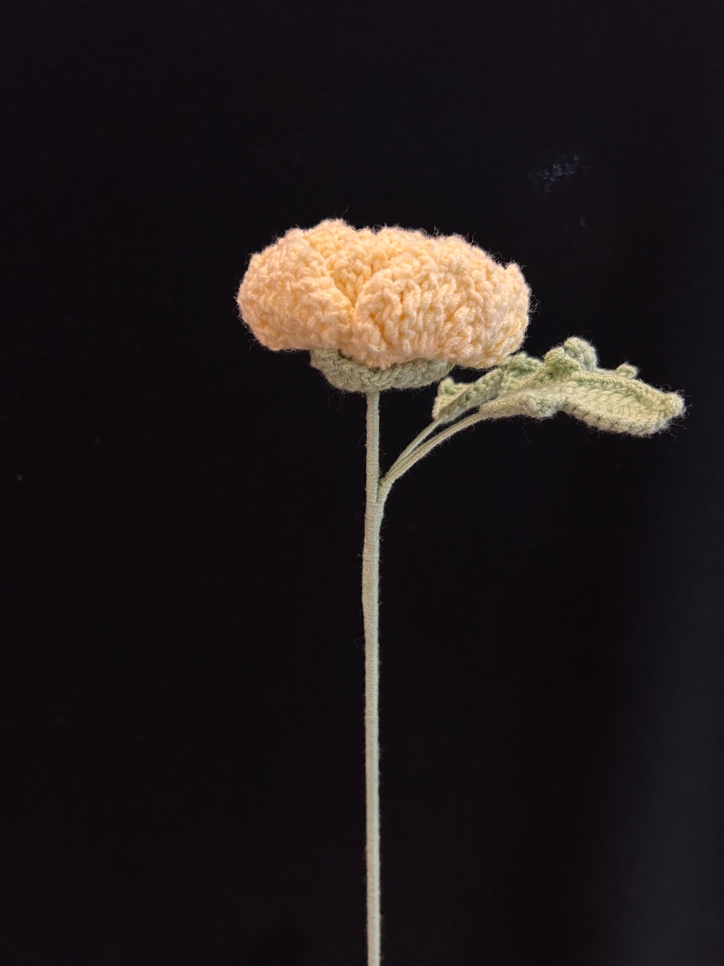 Peony