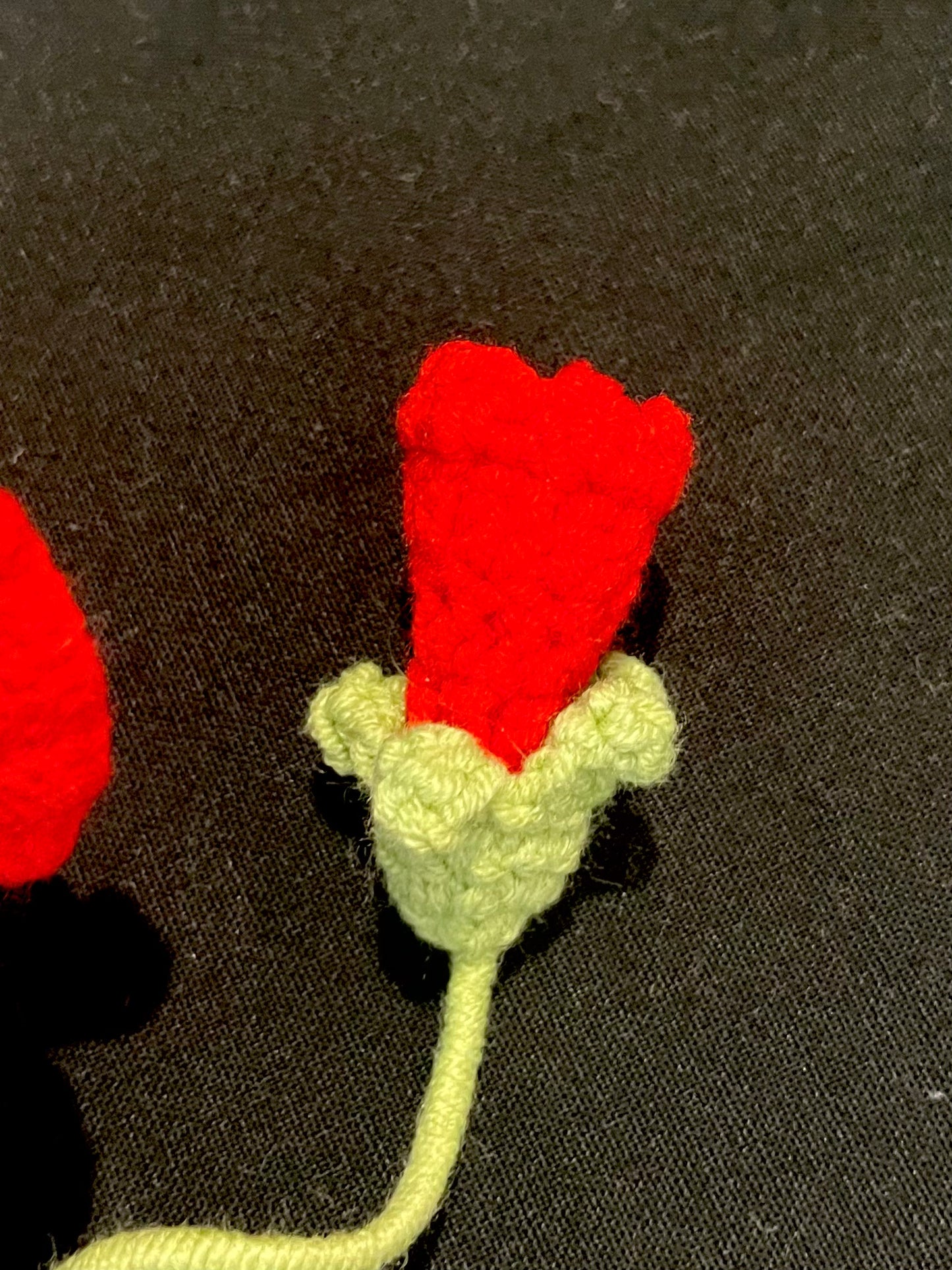 Poppy