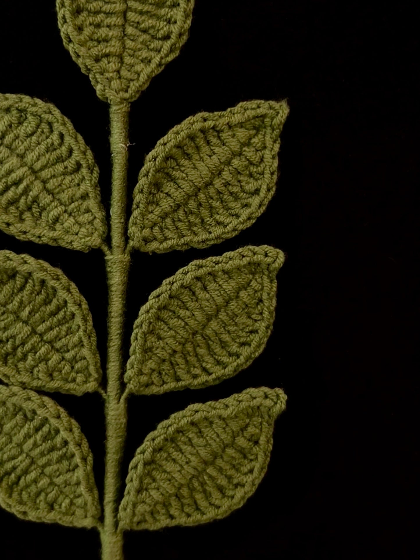 Pinnate Leaves